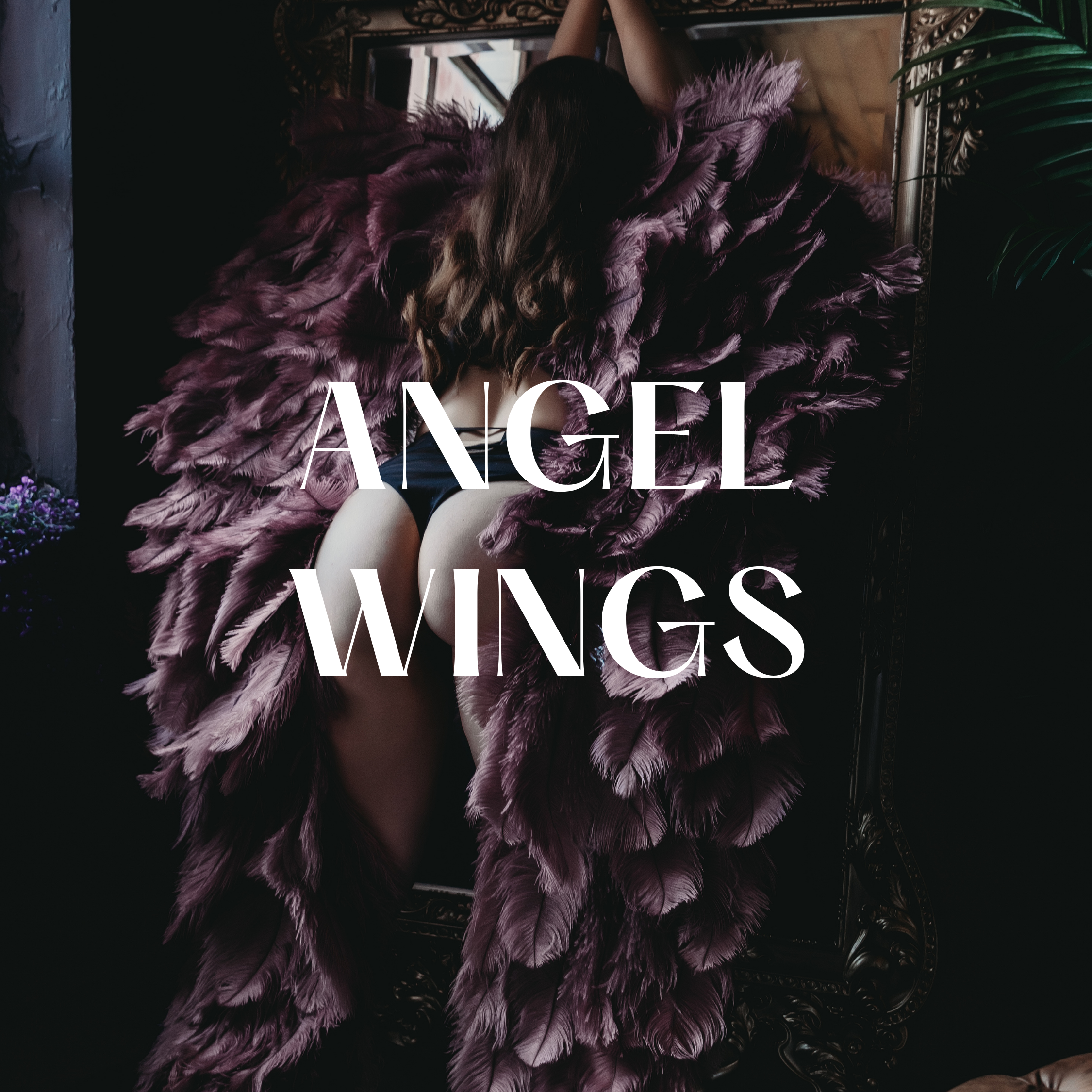 ANGEL WINGS.png