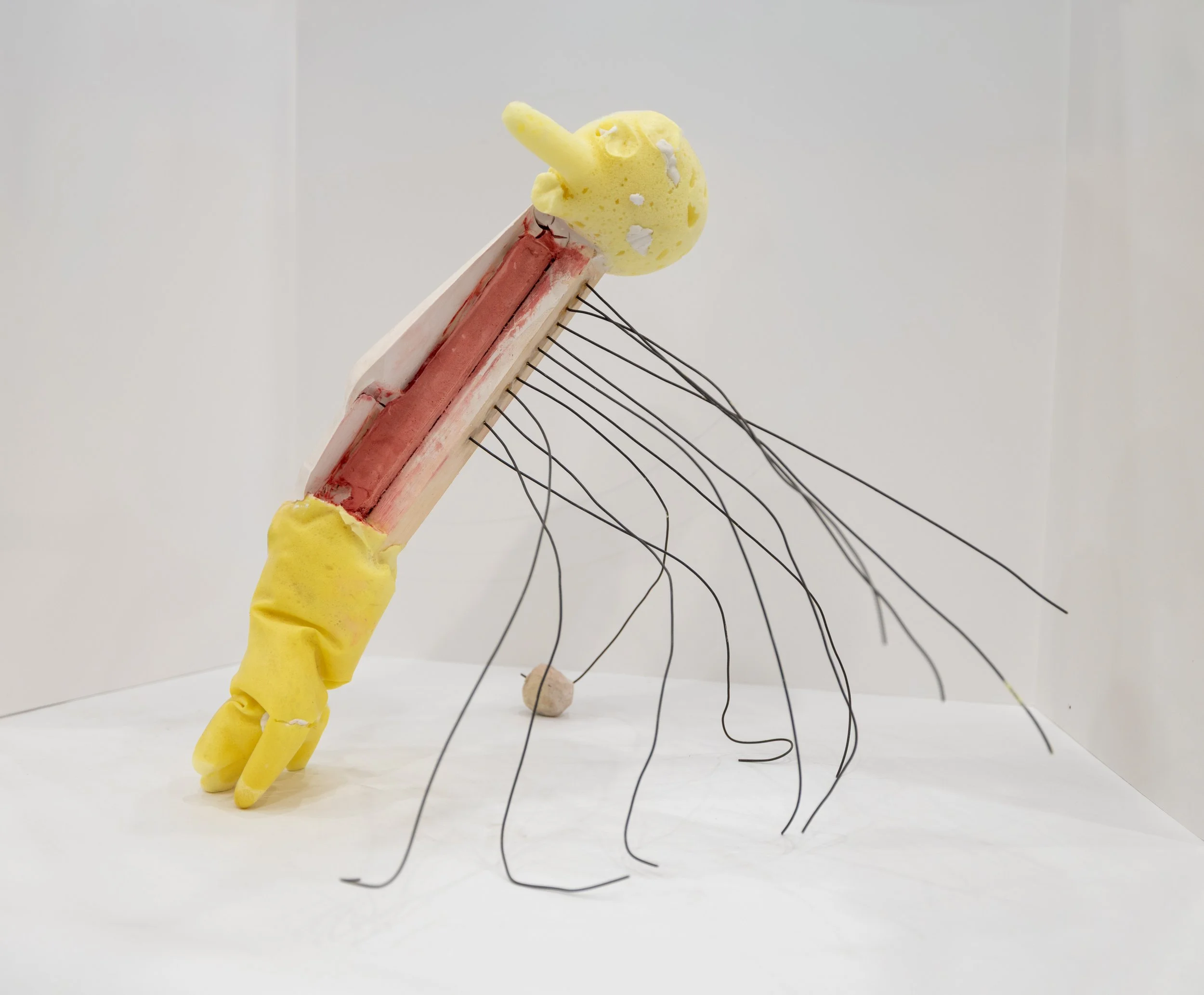 Dissection of Grasping.jpg