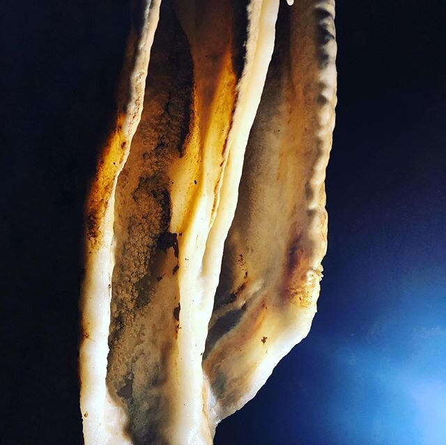 Pretty things in the ground, went rooting around the Waitomo caves today. #caving #adventuretime #adventure #climbing #cave #newzealand #newzealandlife #nz