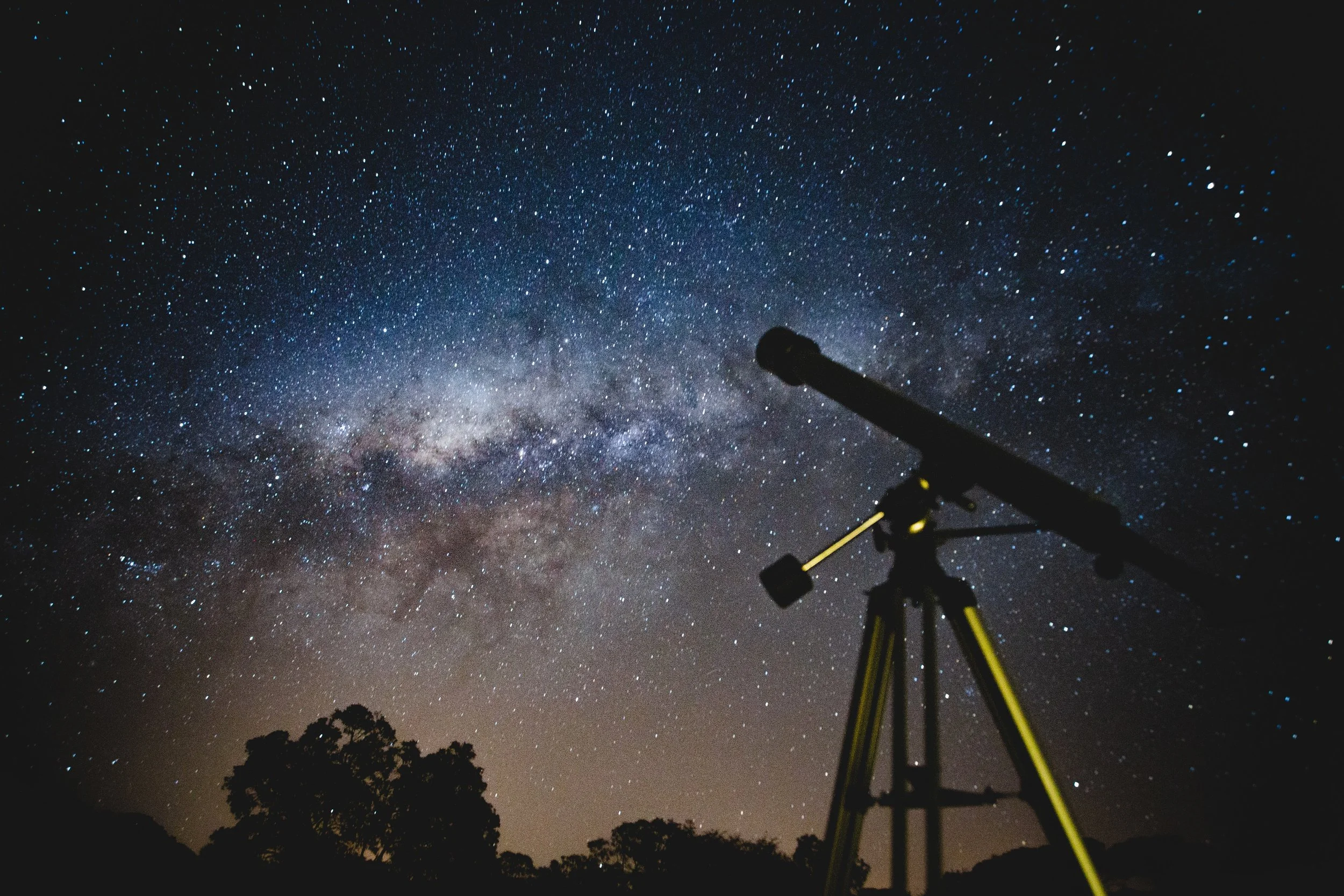 Searching for SEO: Where is it now in 2019?