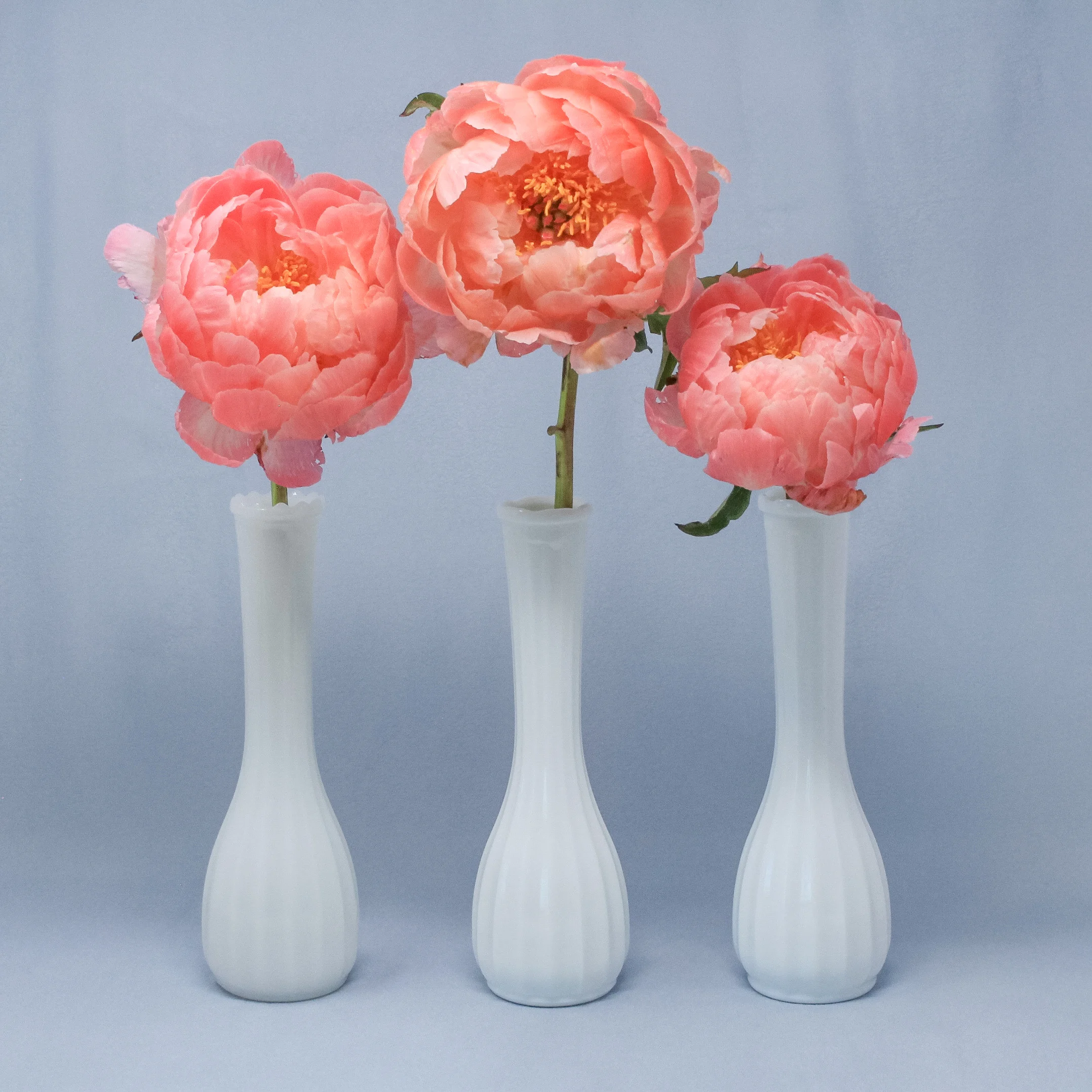 Iris Vase Collection 