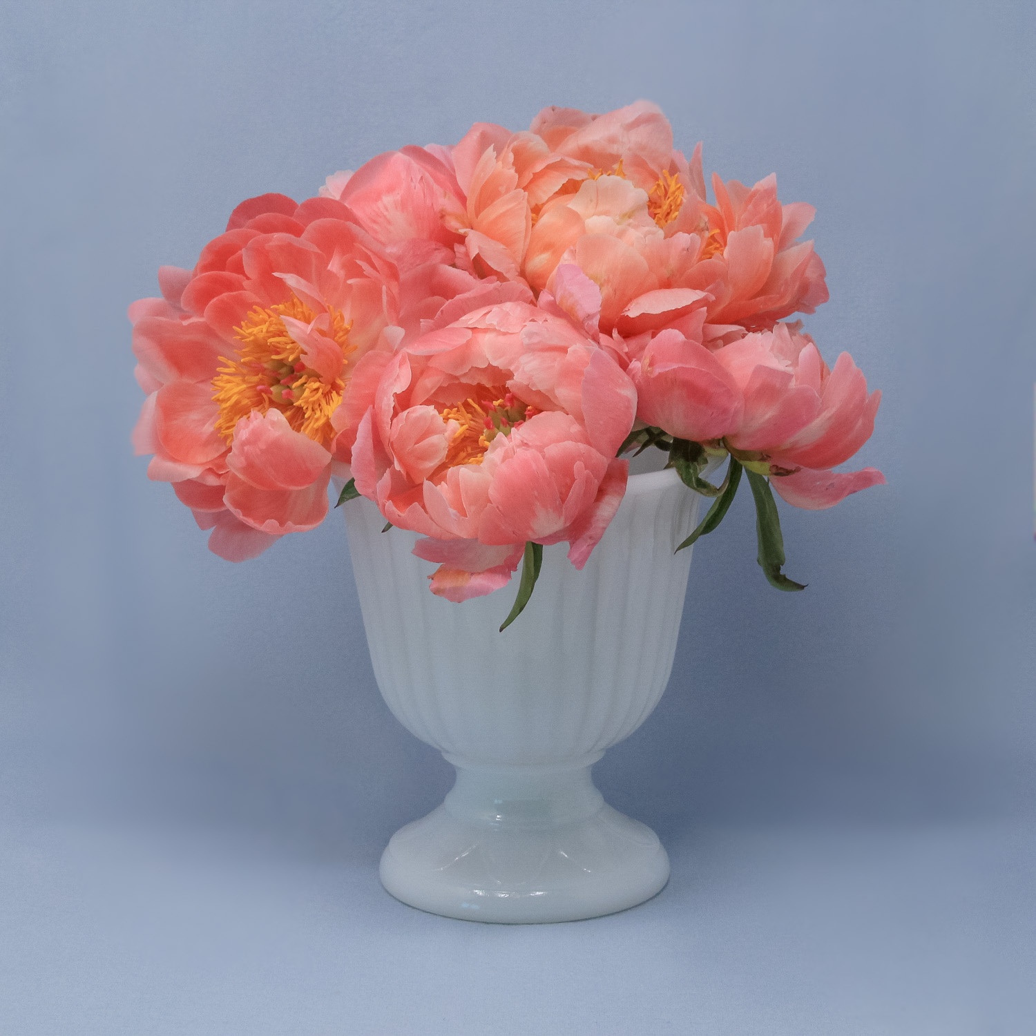 milk-glass-vase-15.jpg