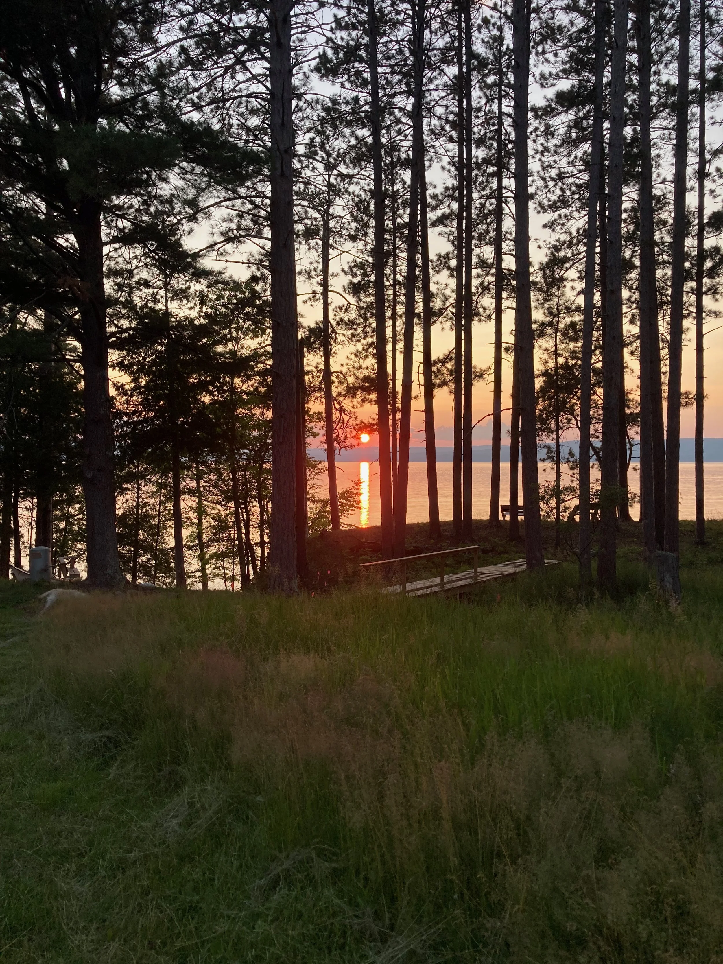 Fortunate, London, UK