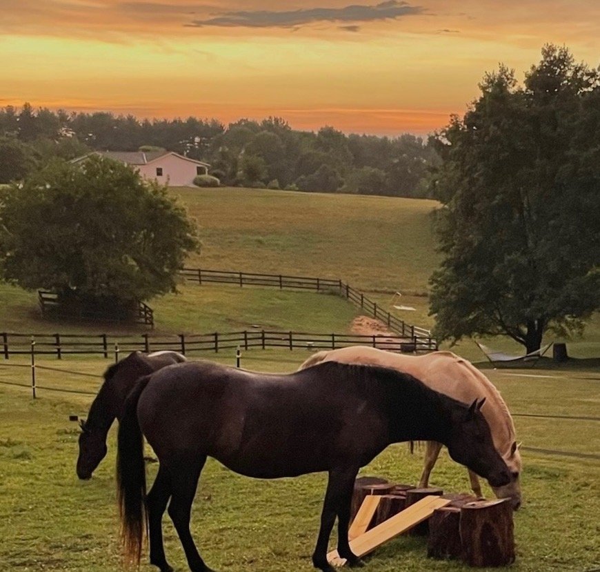 March Spring Awakening: Fresh Treatments &amp; Happenings at the Spa