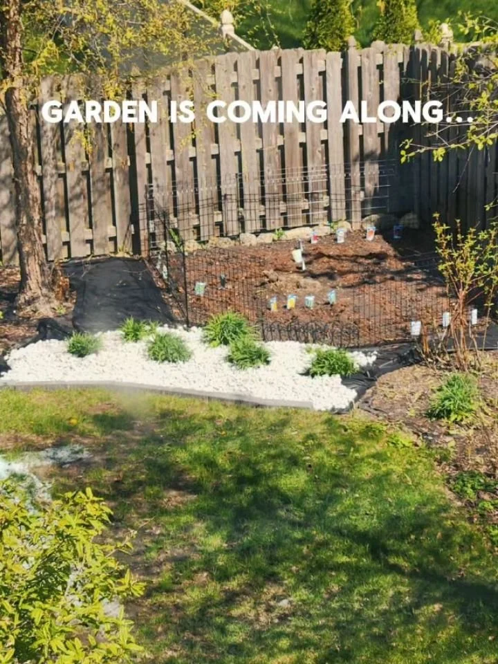 Finally finished my garden and planting this weekend. A few more decorative elements I want to do but mostly getting there. Here's what I put in this year 🤗🌱

Root vegetables: Radishes, Turnips, Carrots, Beets

Greens:
Kales
Spinach 
Green onions

