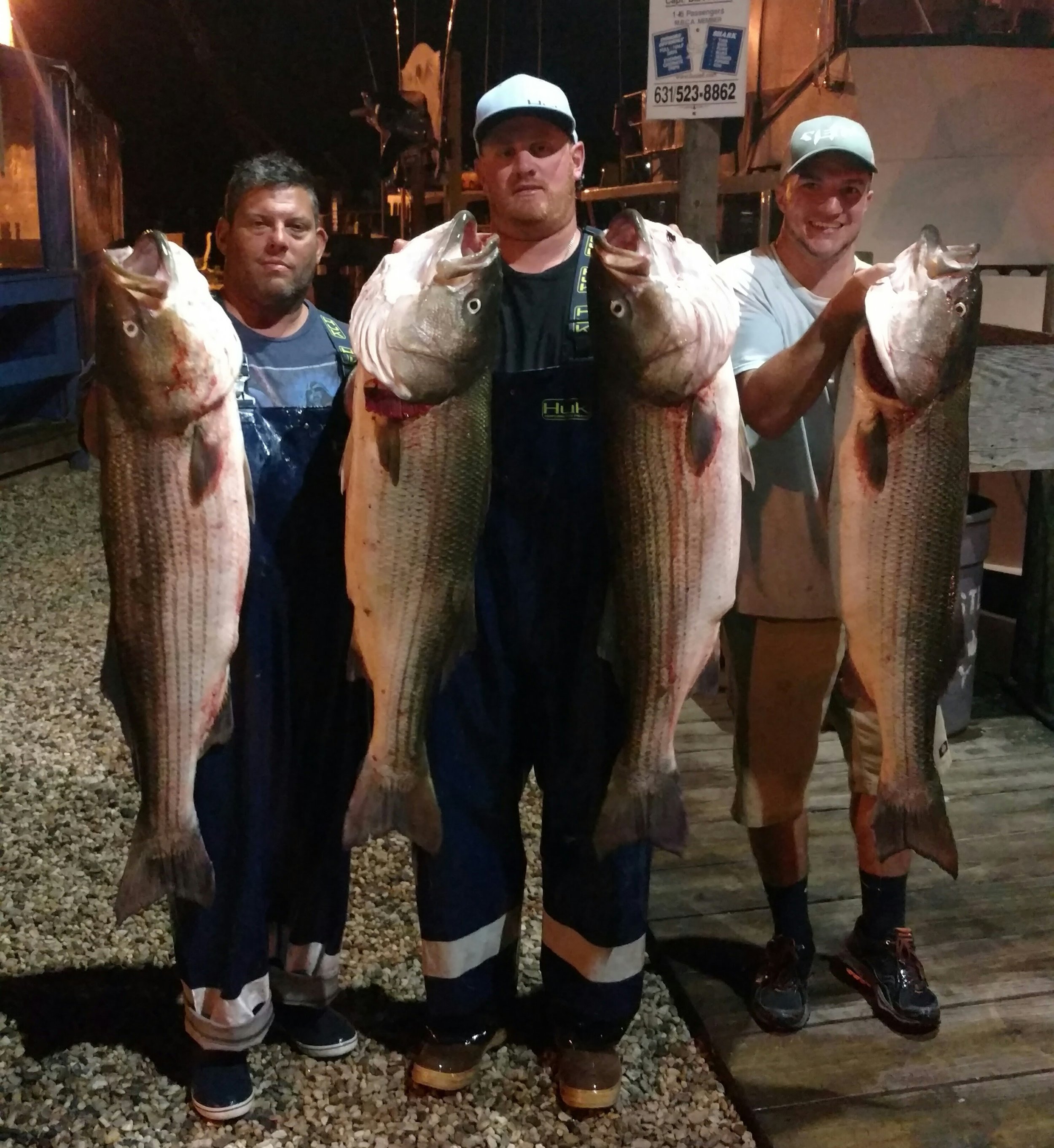 NIGHT STRIPED BASS (Local/ Block Island) — Bloodline sportfishing