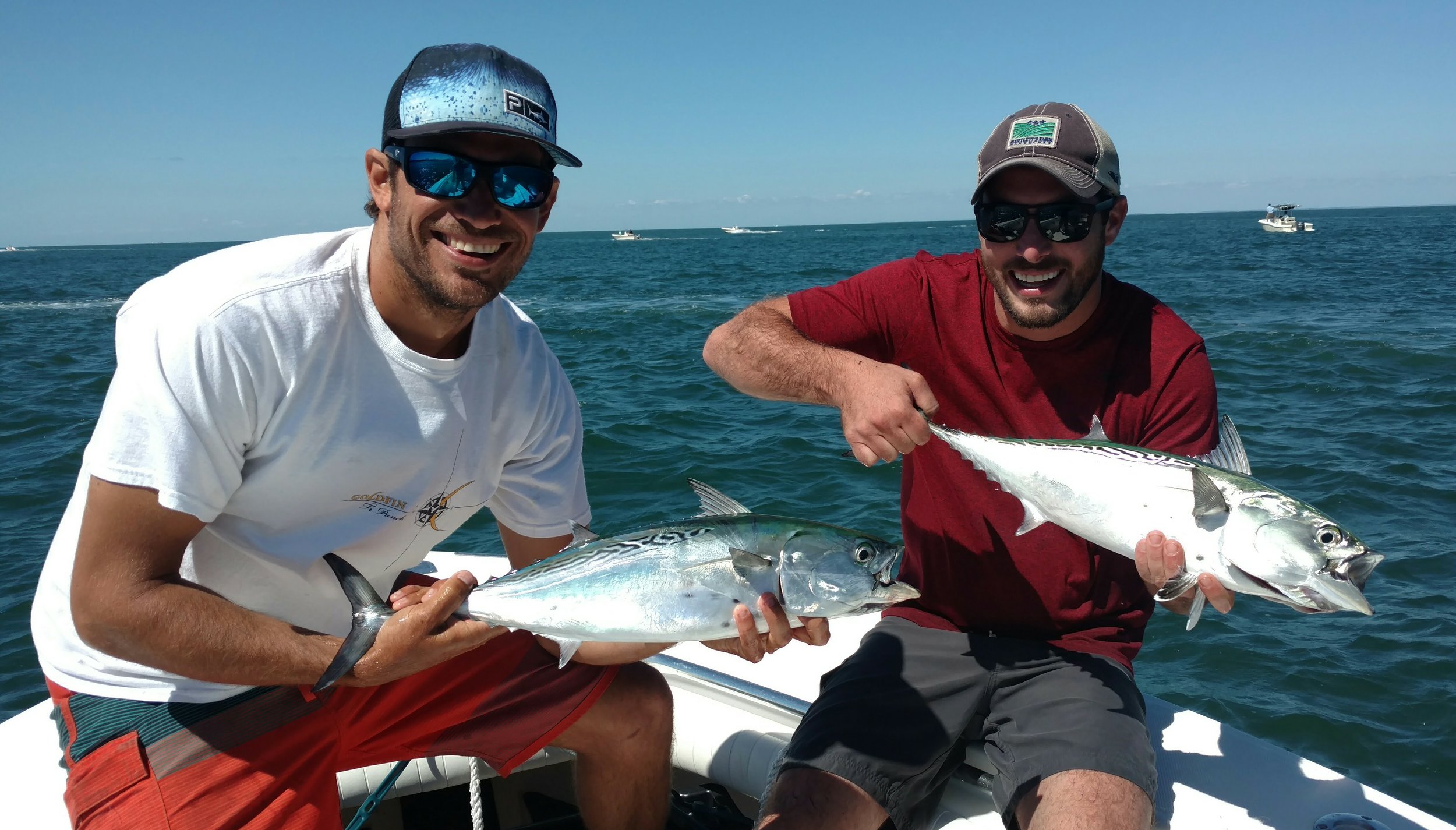 FULL DAY INSHORE — Bloodline sportfishing
