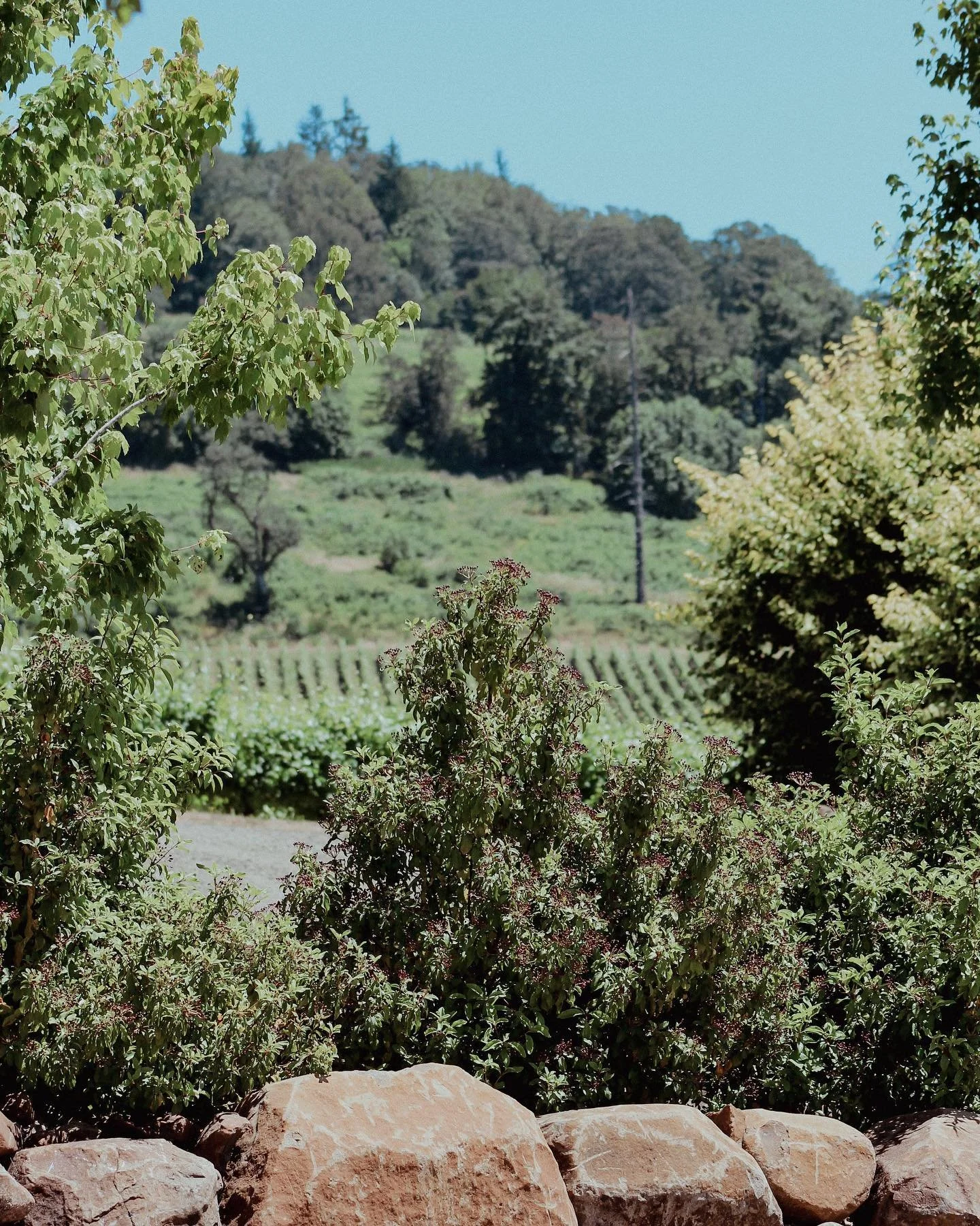 AIA Salem PCA Awards Event and End of Year Party