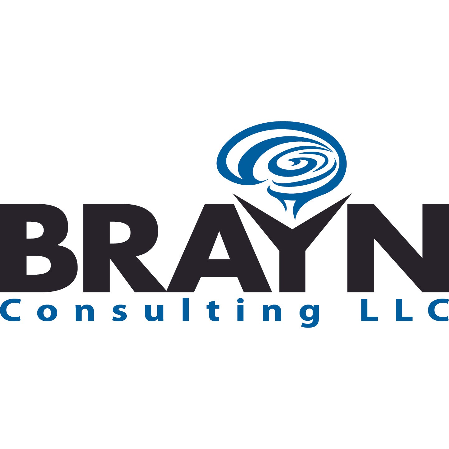BRAYN Logo - No Gradient.jpg