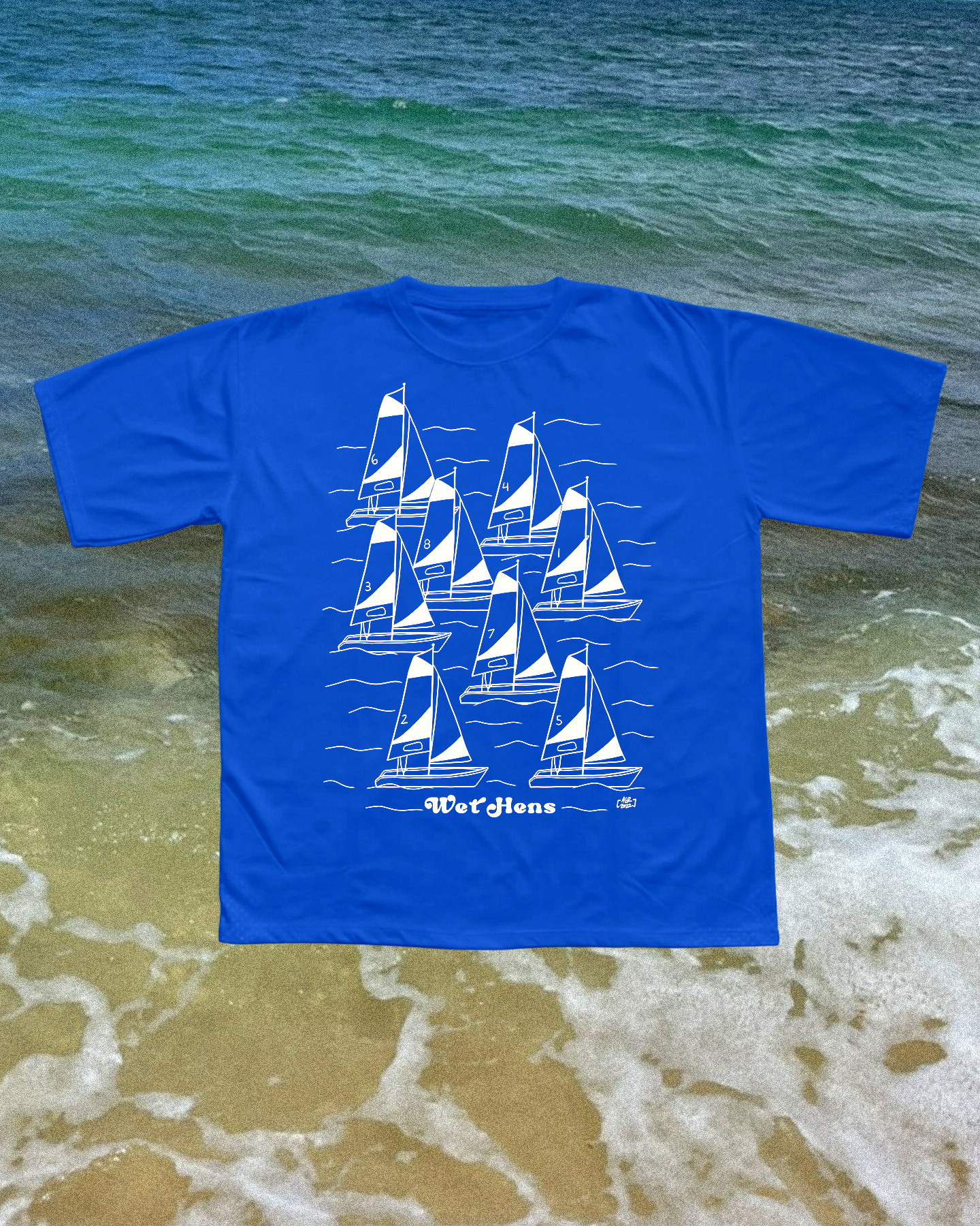 sailboats wet hen.png