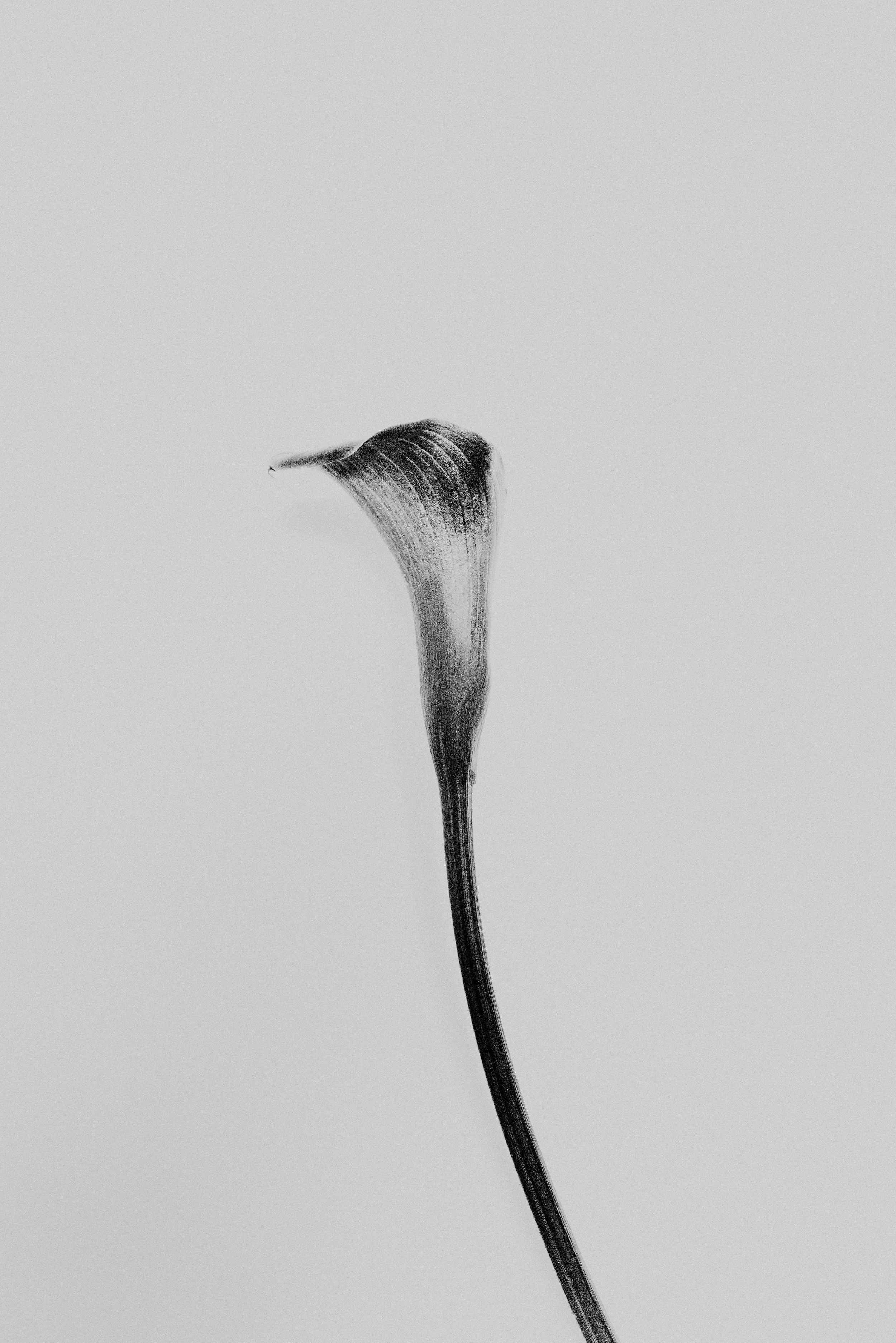 L1030006-3.jpg