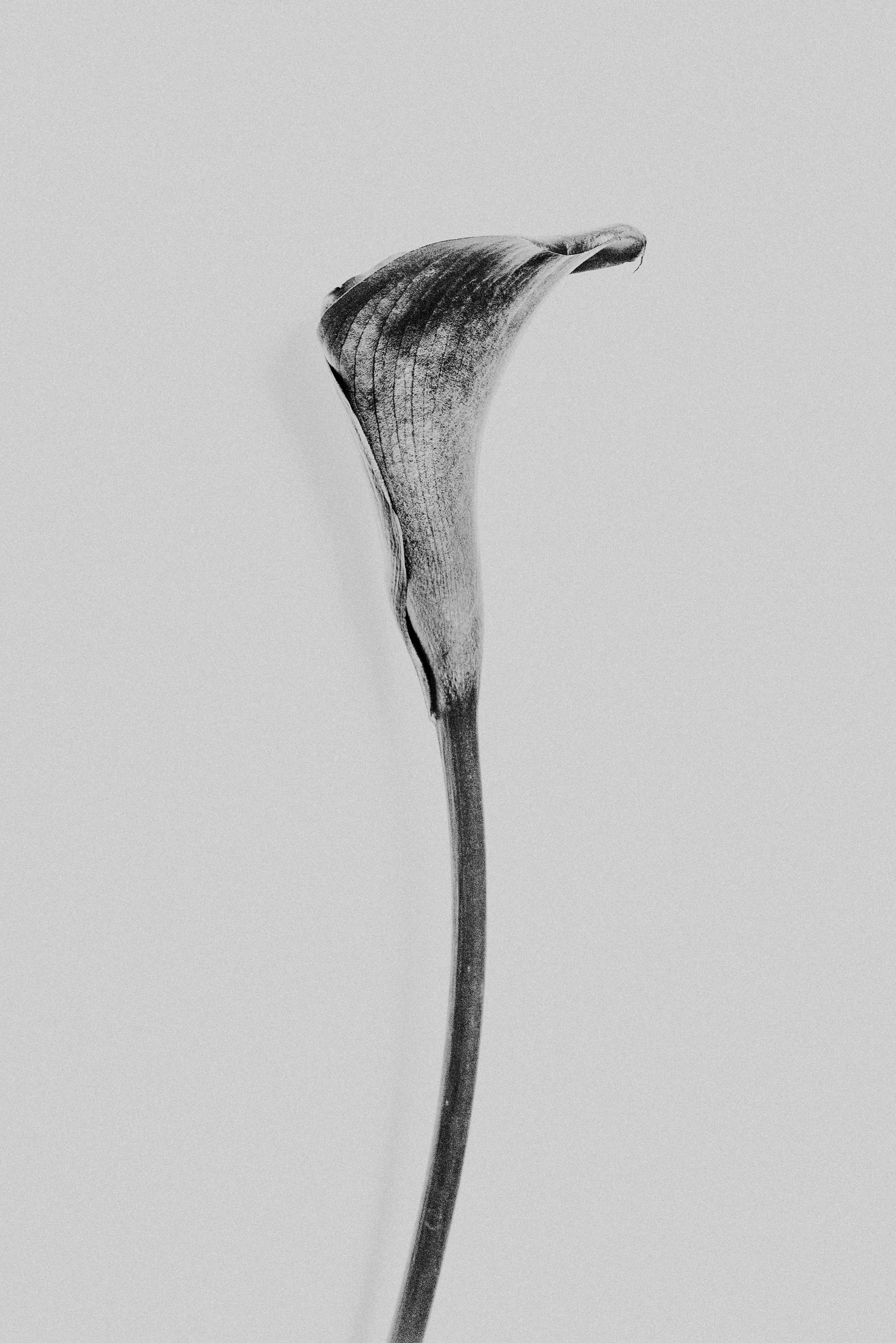 L1030010-3.jpg