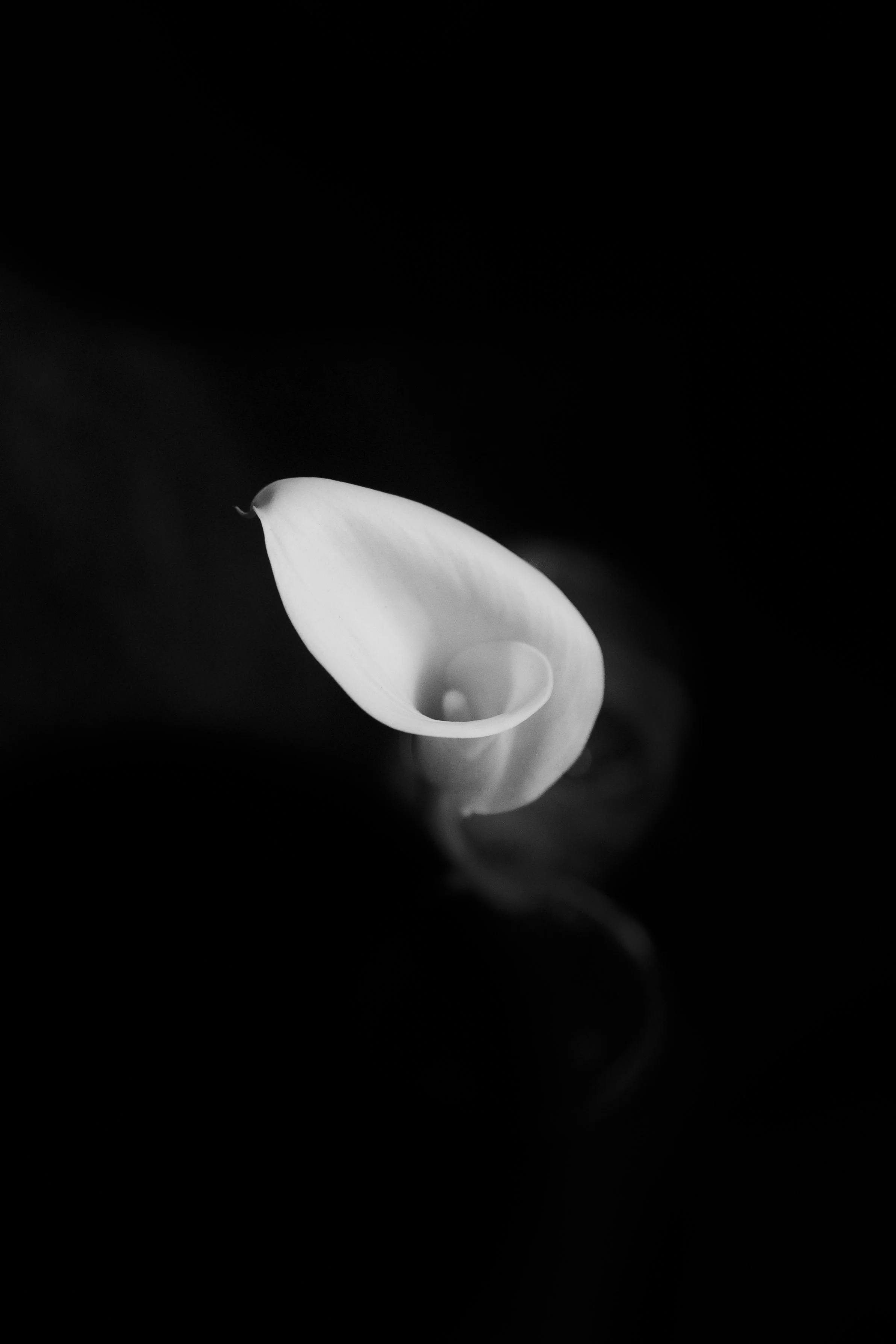184A9588.jpg