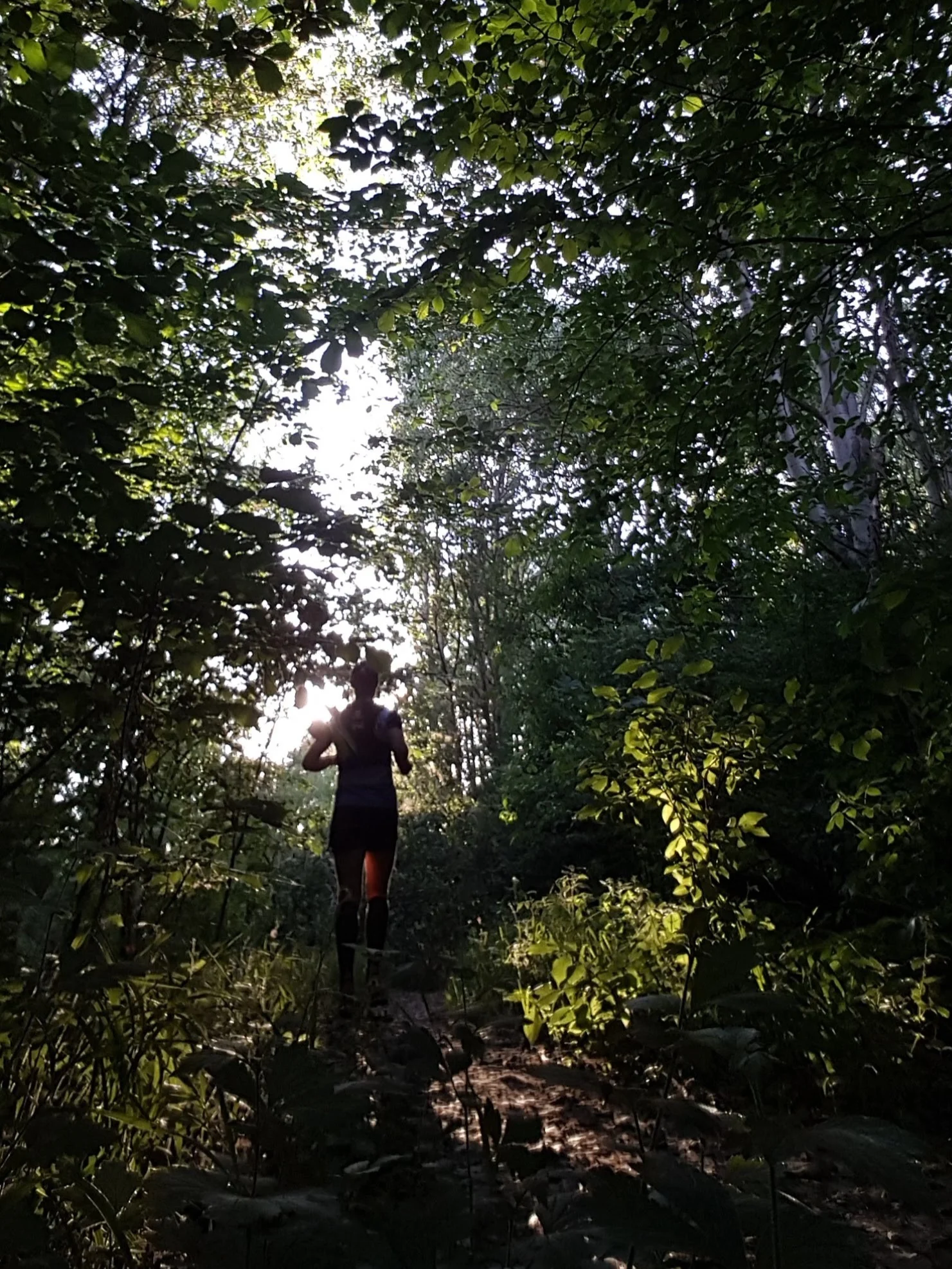 20180618_200934.jpg