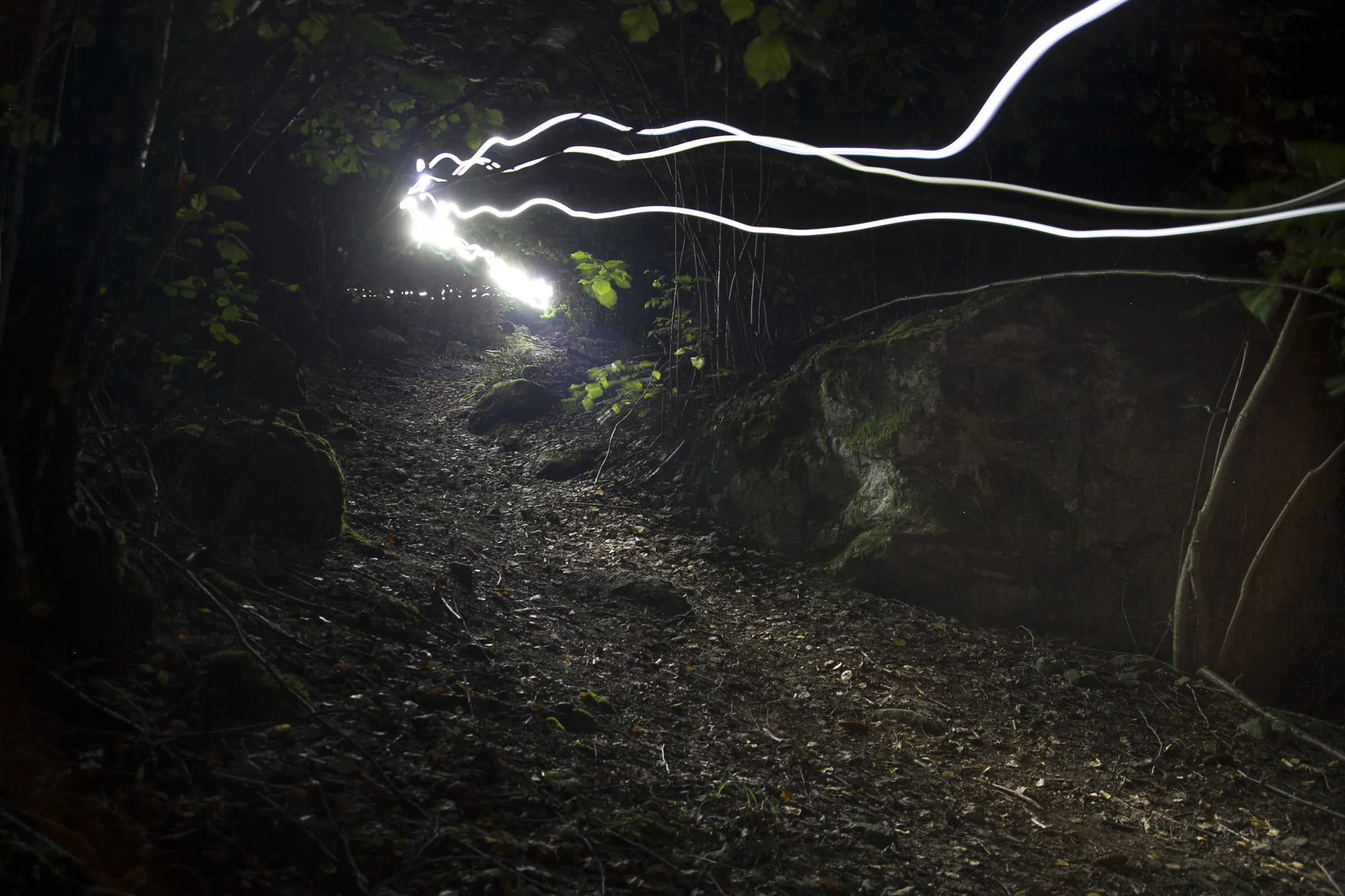NightTrail.jpg