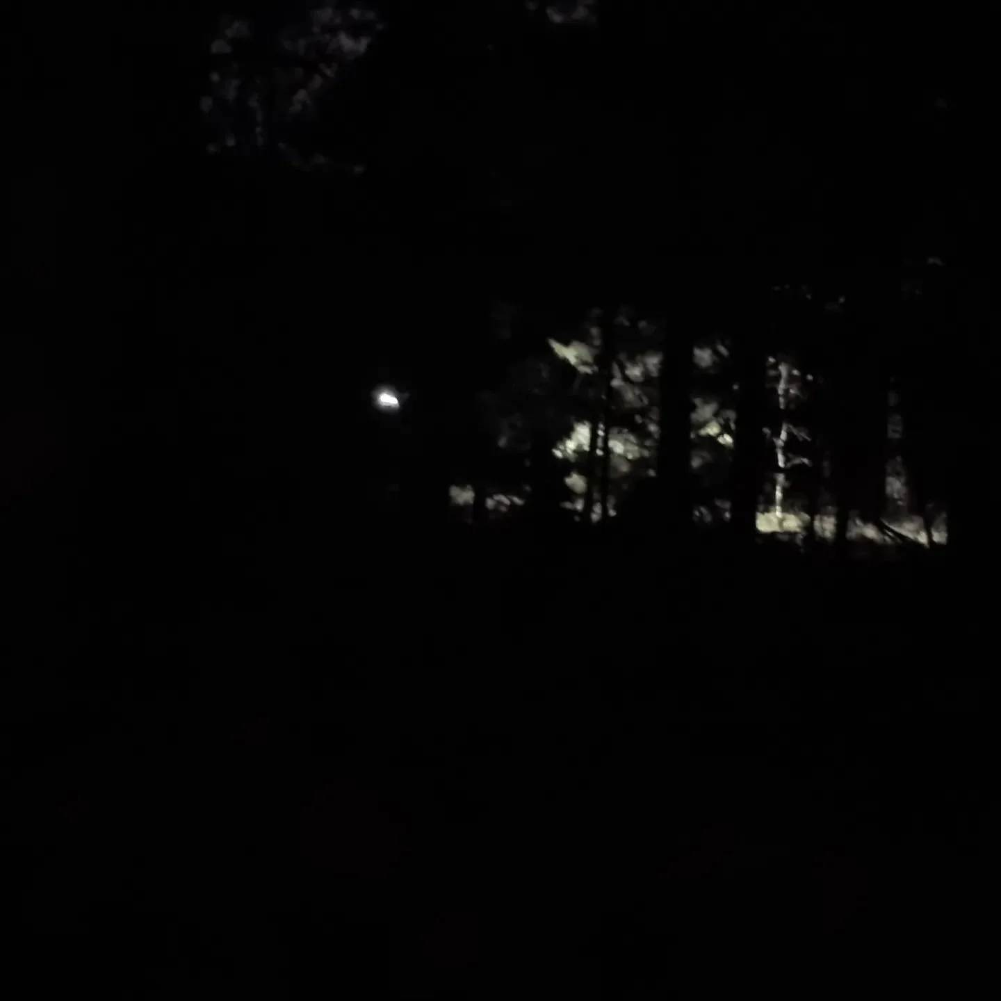 En helt fantastisk kv&auml;ll i vacker natur. Det susar i tr&auml;den, m&aring;nen ger lite extra belysning. Snart ger sig dagens sista l&ouml;pare iv&auml;g. Imorgon l&ouml;rdag den 19 oktober har ni som missat deta chansen! V&auml;lkommen! 

#Solle