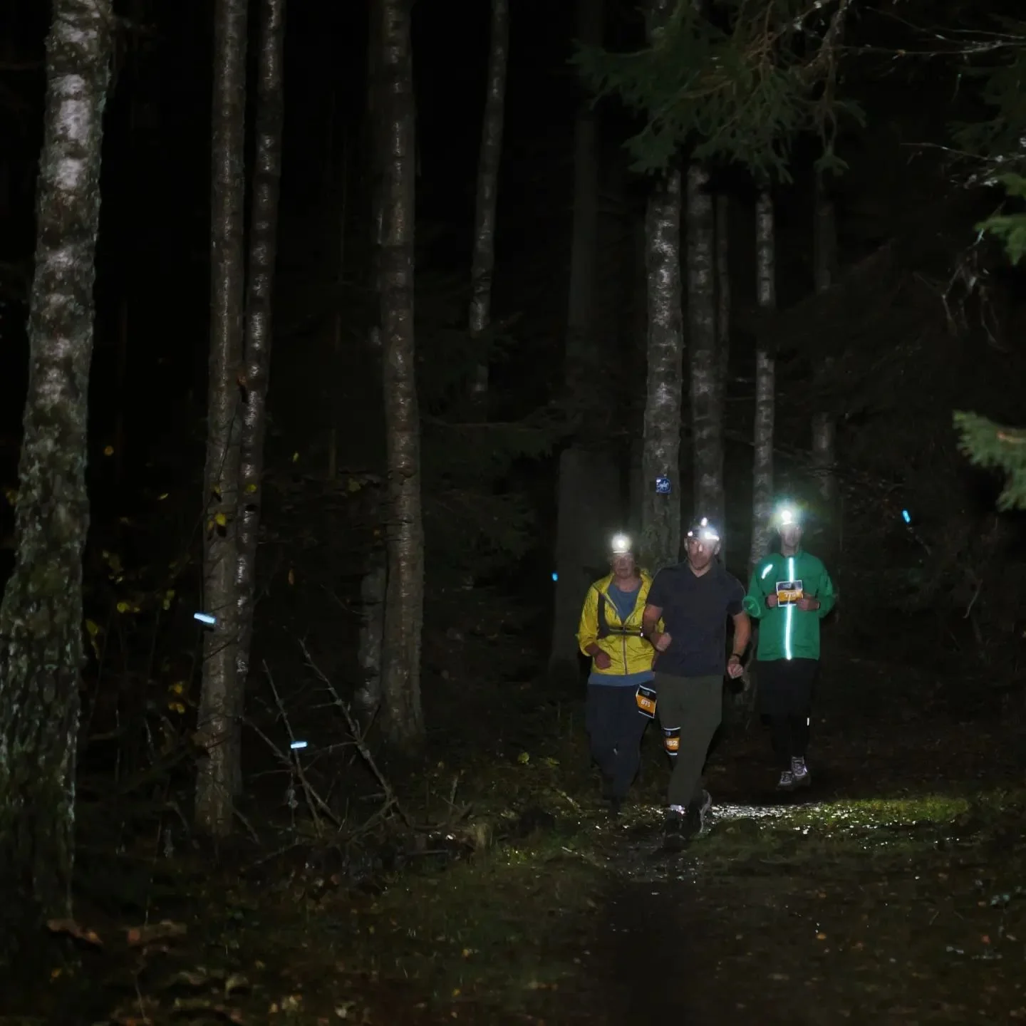 Ni som sprang Night Trail Run i l&ouml;rdags kanske st&ouml;tte p&aring; en fotograf l&auml;ngs banan? Det var @ffilip.fotar som dokumenterade er upplevelse. Fotografi under v&auml;ldigt utmanande omst&auml;ndigheter, men kolla resultatet!✨️

#Trail 
