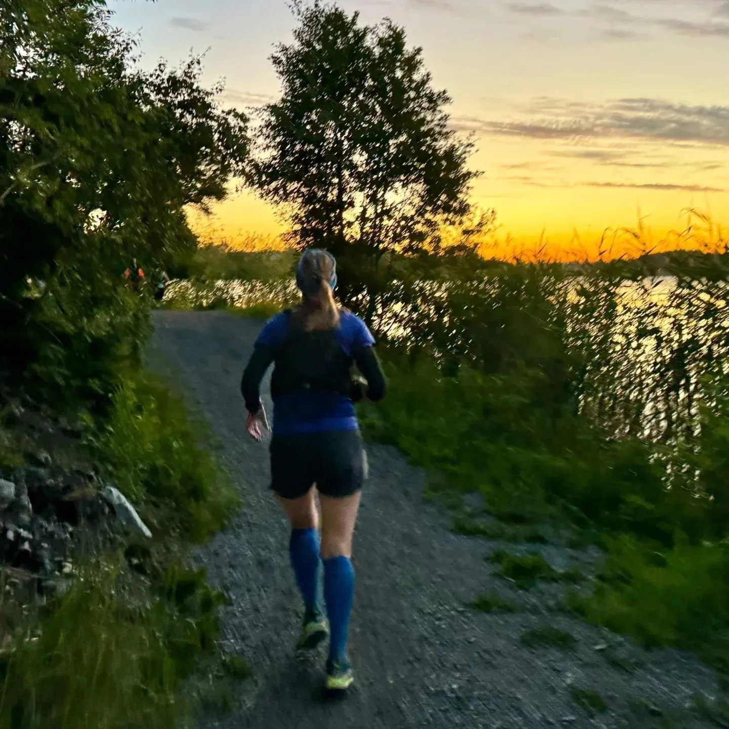 Vill du fira midsommar med oss? Den 21 december &ouml;ppnar vi anm&auml;lan till Night Trail Run Sommar. H&auml;ng med p&aring; 30 kilometer trail under &aring;rets ljusaste natt!

#traill&ouml;pning&auml;rtoppen #traill&ouml;pningsthlm #trail #Solle