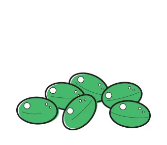 Pharma-grade Cannabis