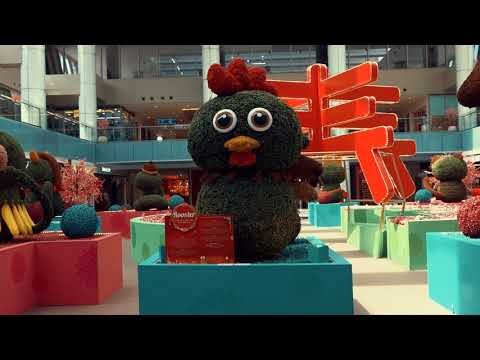 CNY Luncheon & Meeting with Stylists - TSBTV.E02