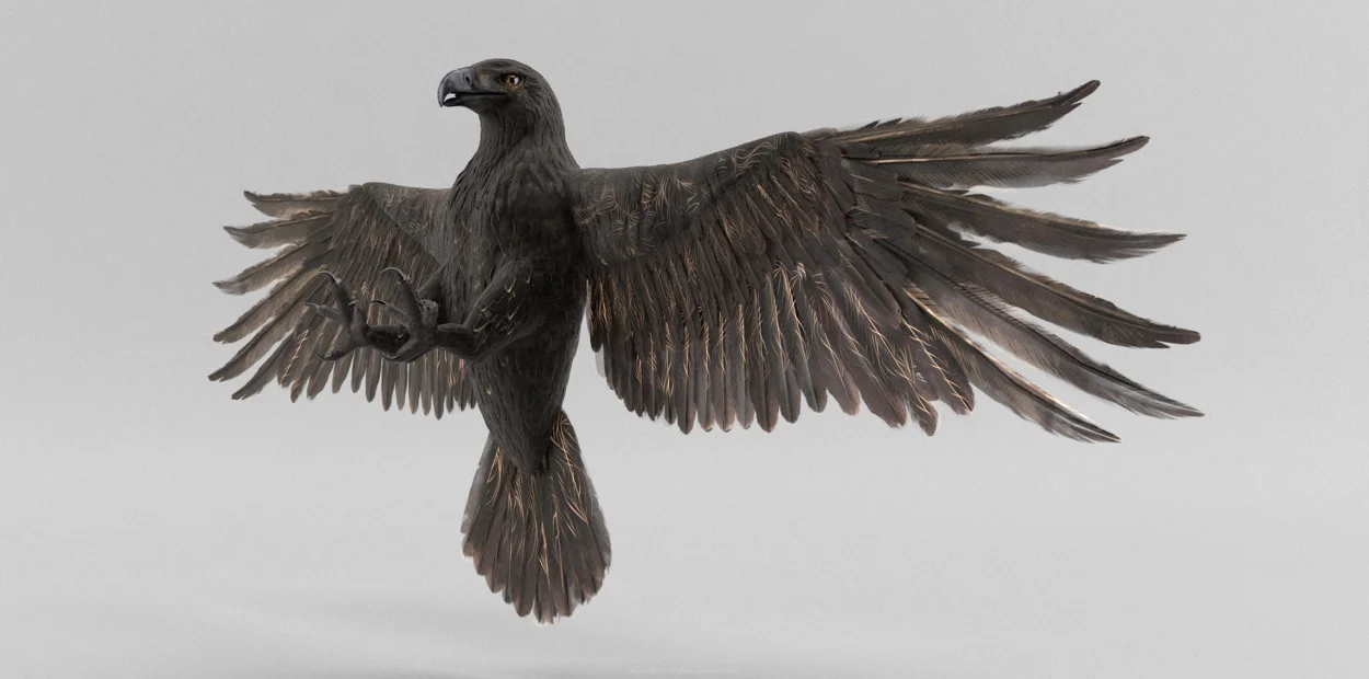 bird_038_1250.jpg