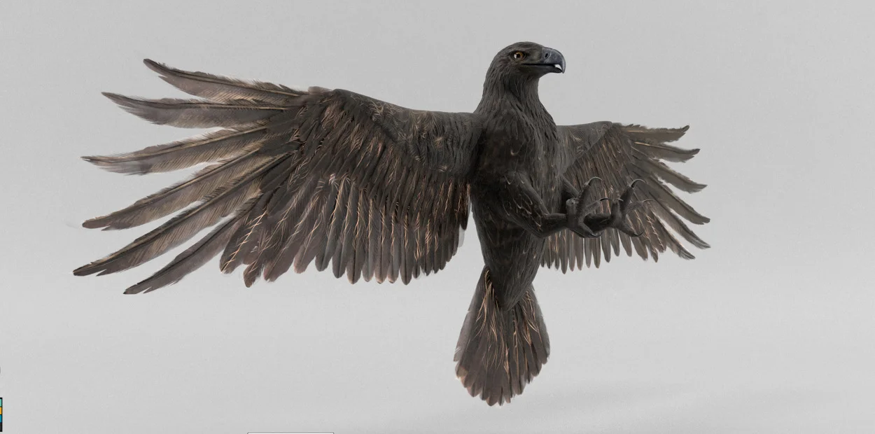 bird_040_1250.jpg