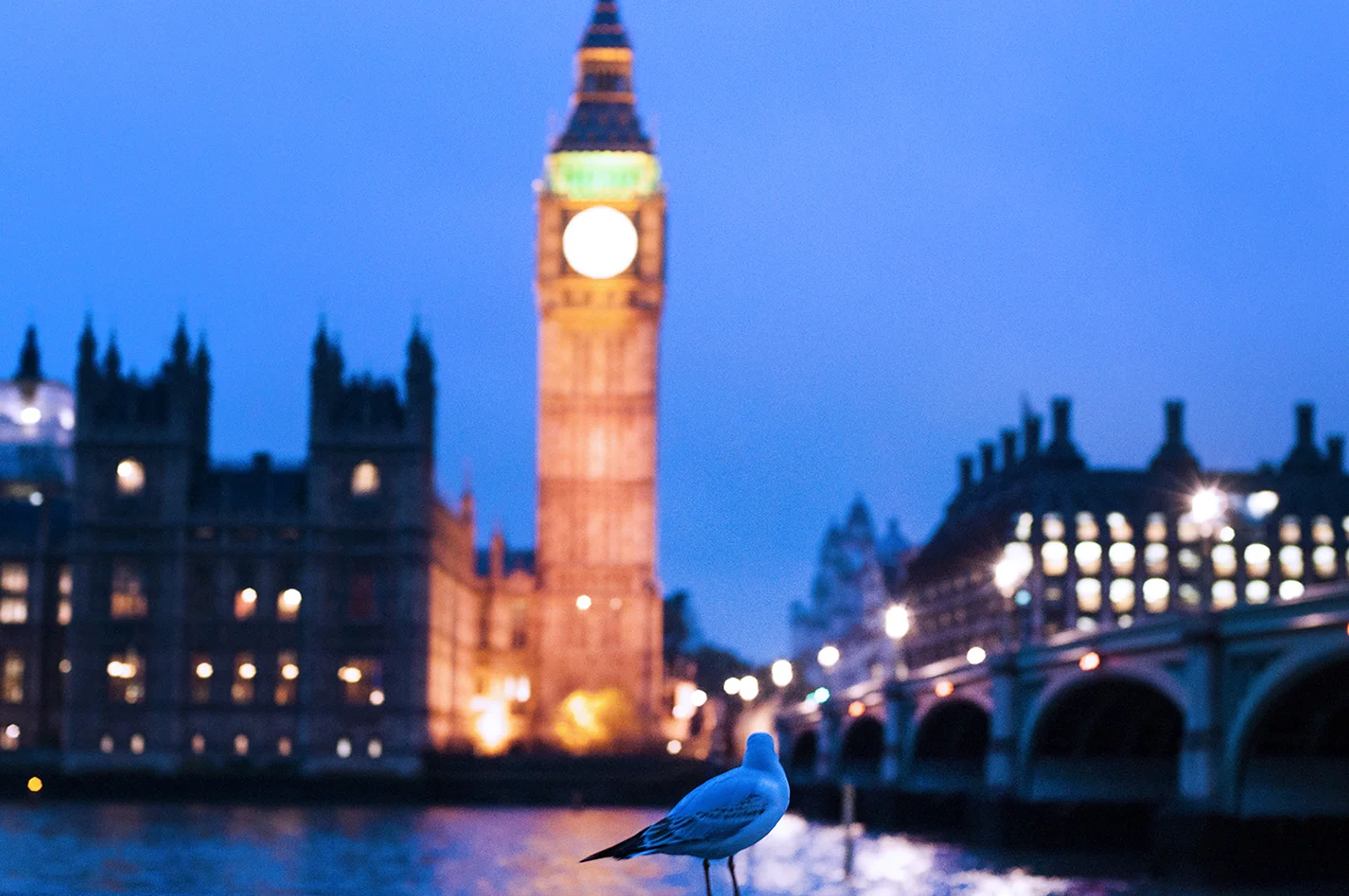 DSC_0460_2_o.jpg