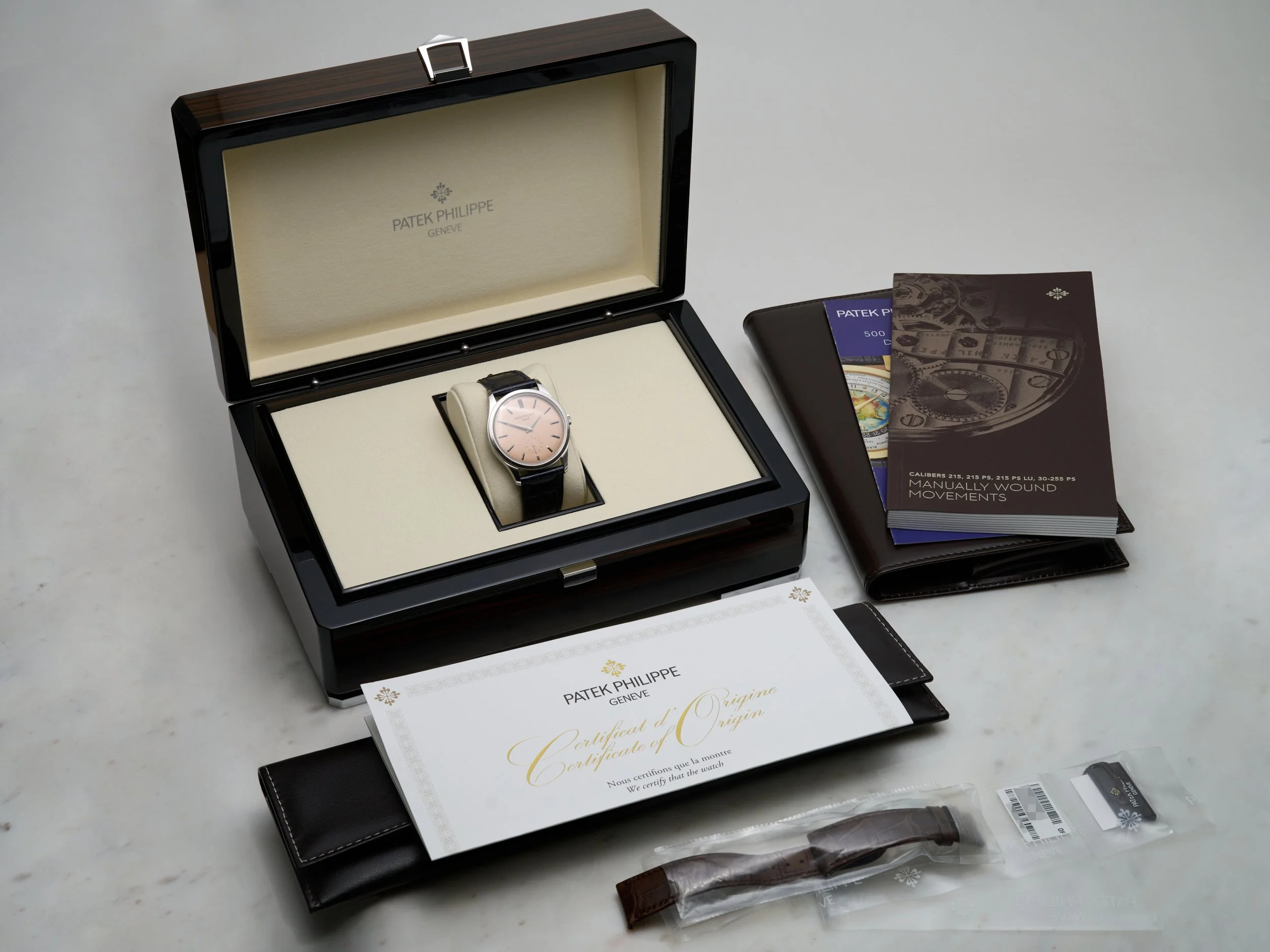 PP868 Patek Philippe Calatrava 6196P-6.jpg