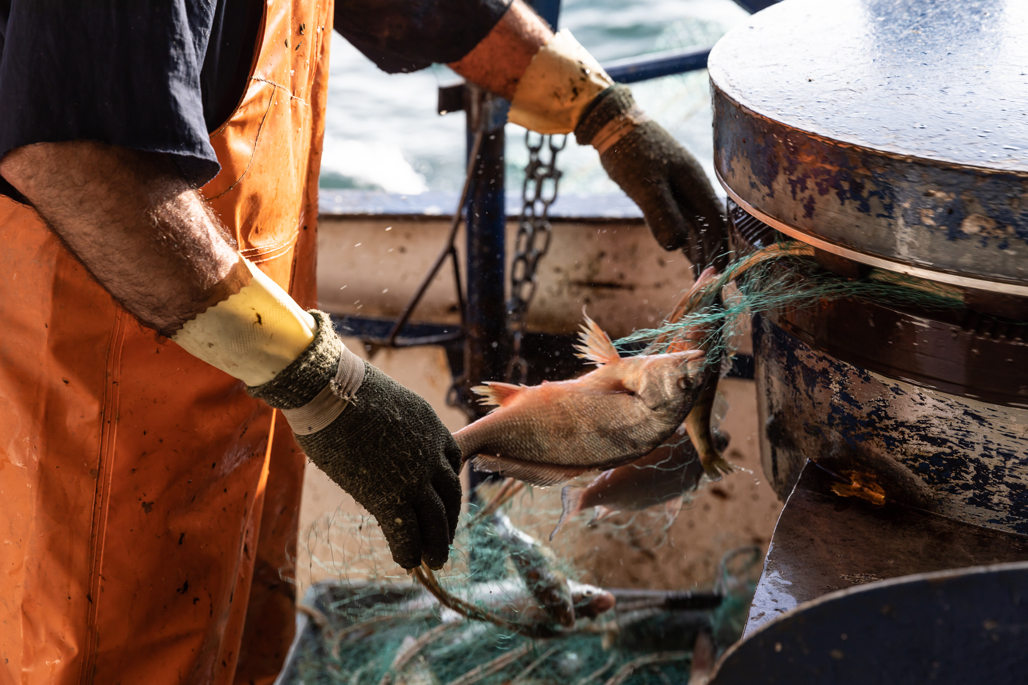 commercial fishing photography-2542.jpg