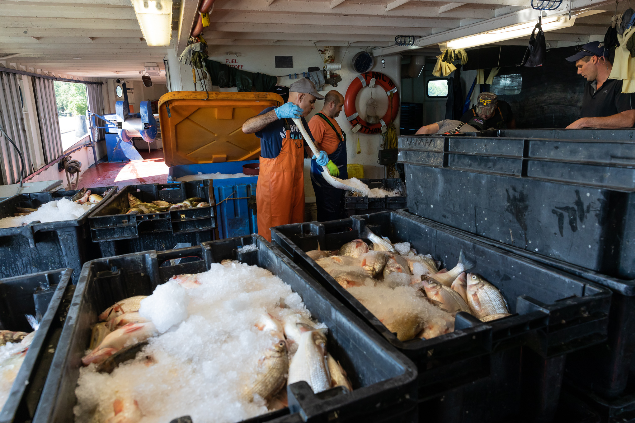 commercial fishing photography-3191.jpg