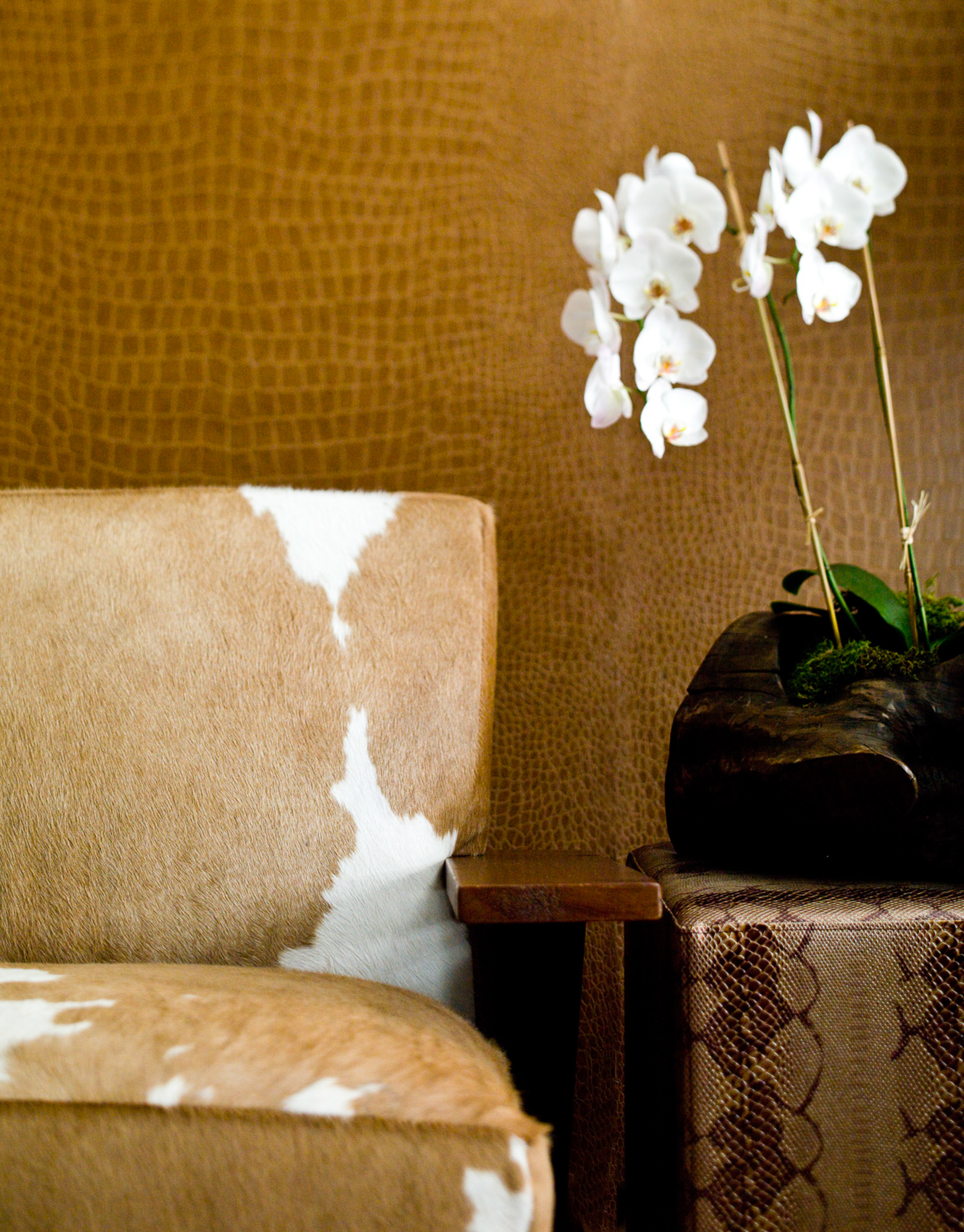 001 Cvr_HairhideChair_AFL07.jpg