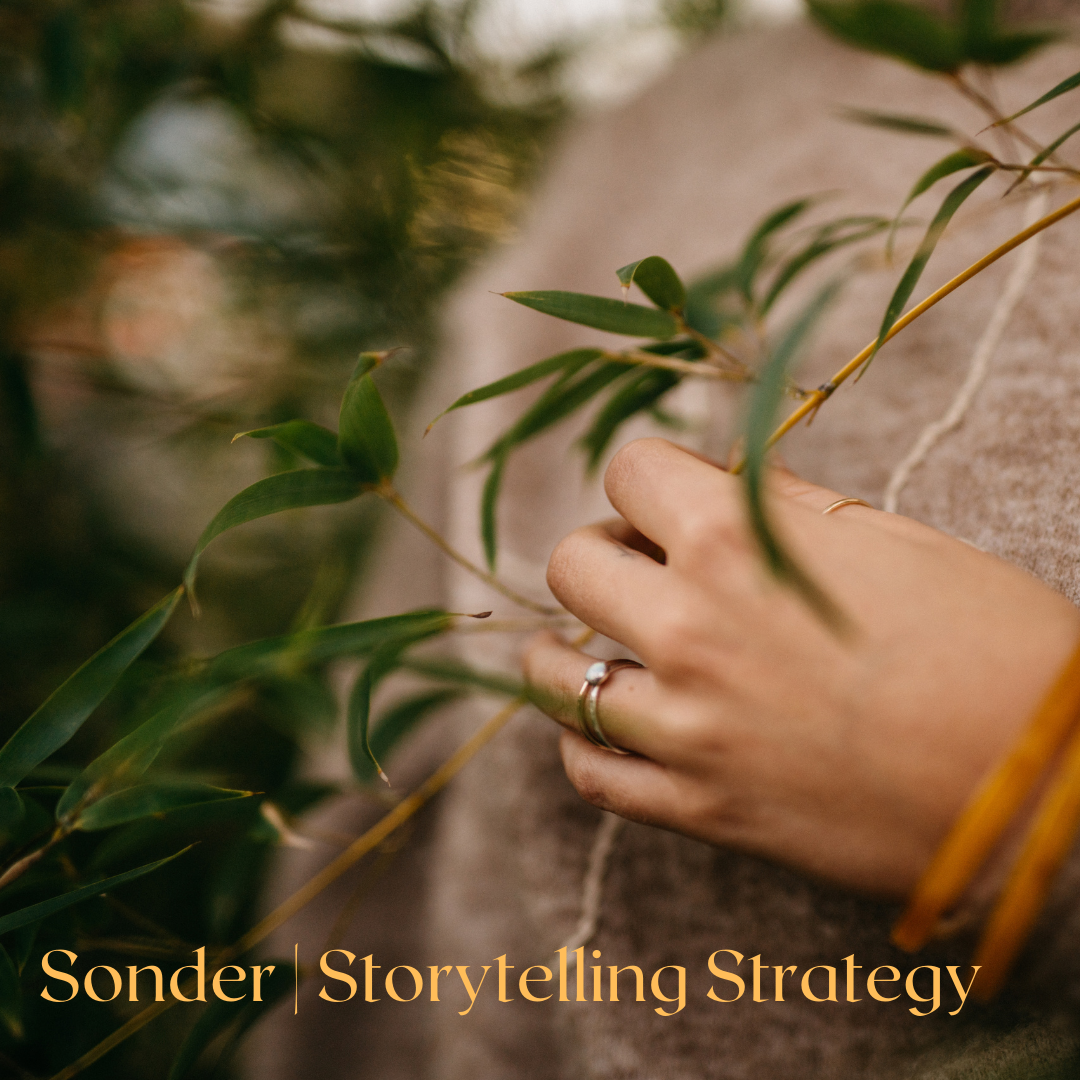 Introducing: Sonder | Storytelling Strategy Sessions!