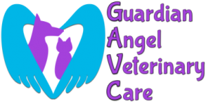 resized-banner-logo1.png