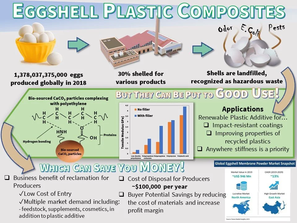 Eggshells as BioRenewable Polymer Filler — R. Brown