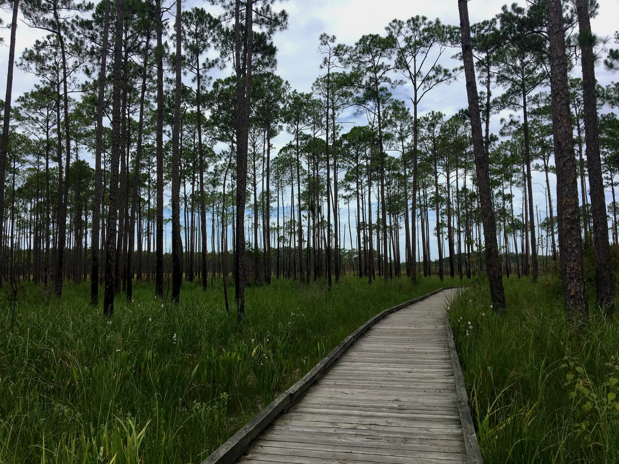 Bayou Sauvage National Wildlife Refuge