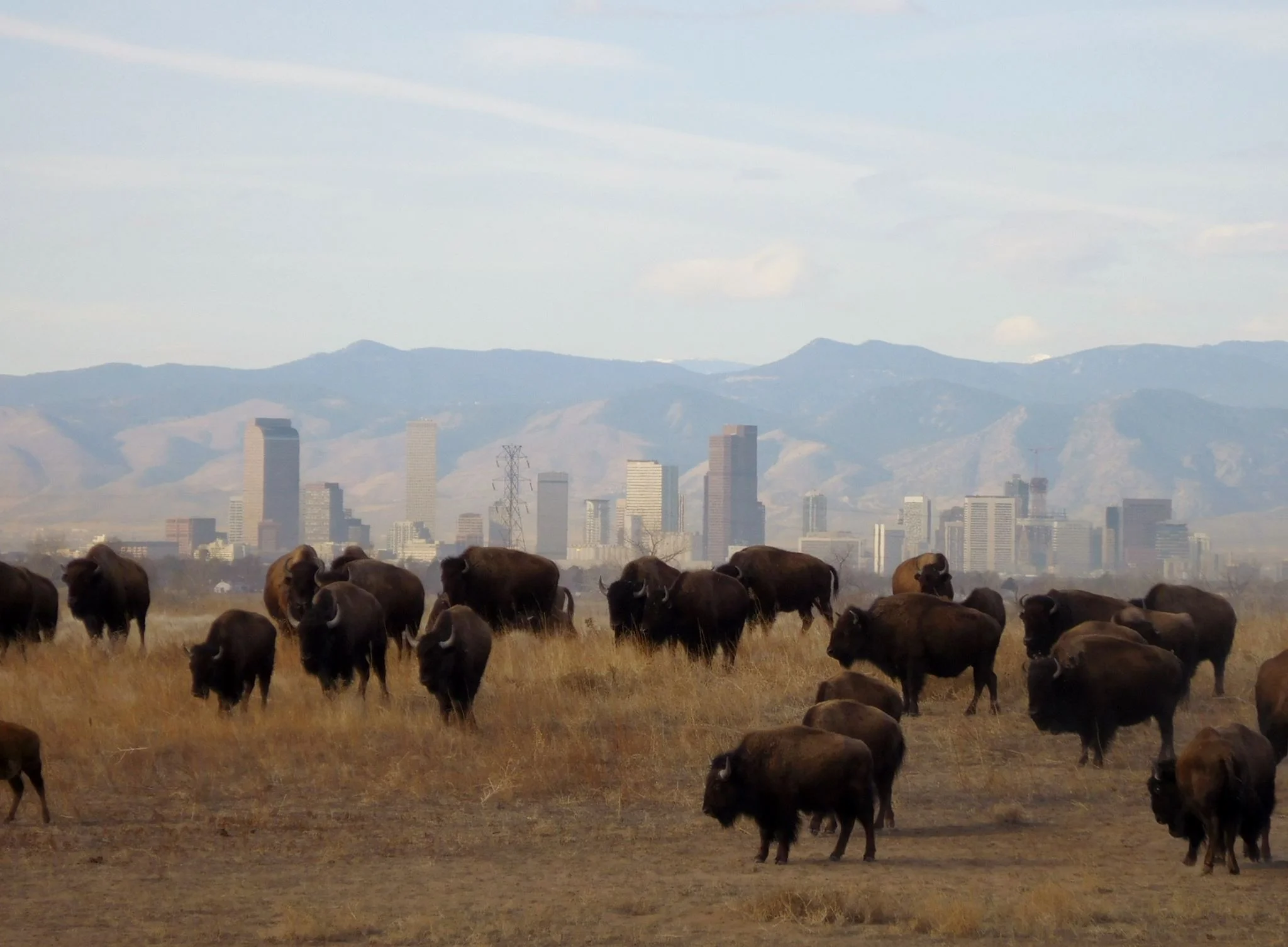 Colorado Front Range National Wildlife Refuge Complex