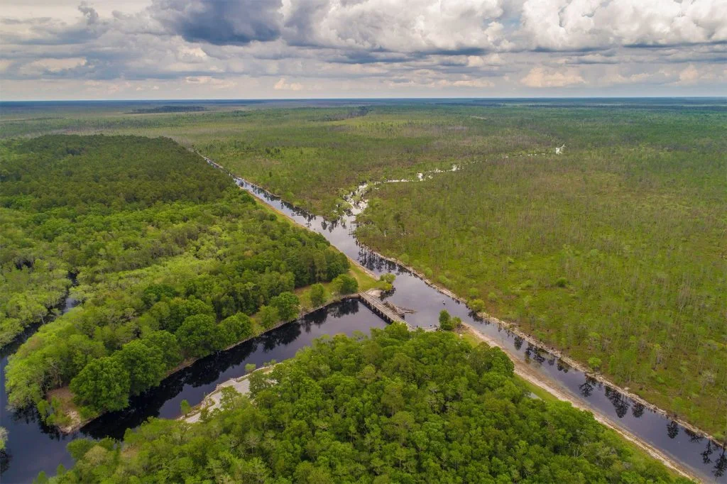 Okefenokee National Wildlife Refuge Threatened by Proposed Strip Mine