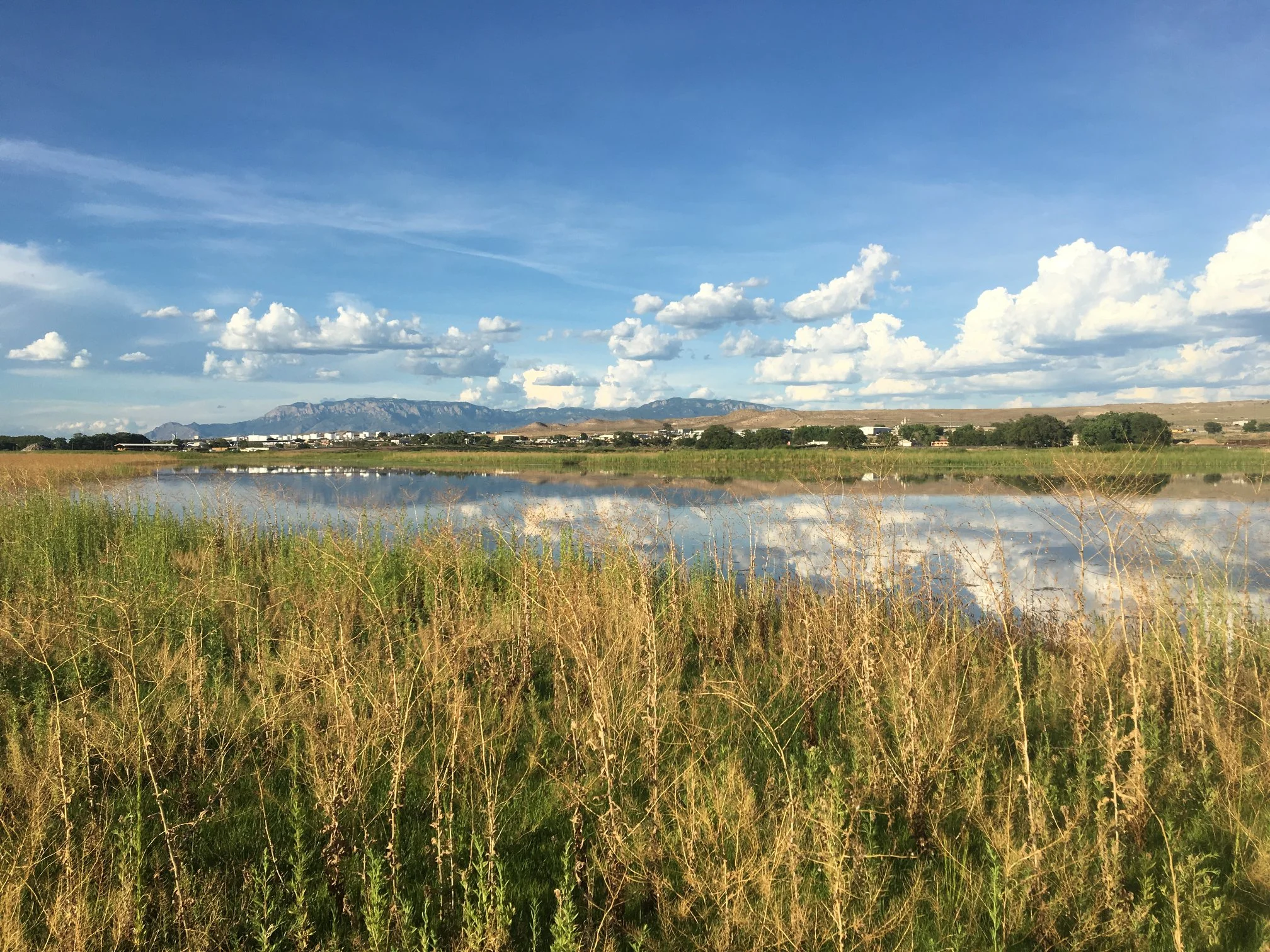 Valle De Oro National Wildlife Refuge