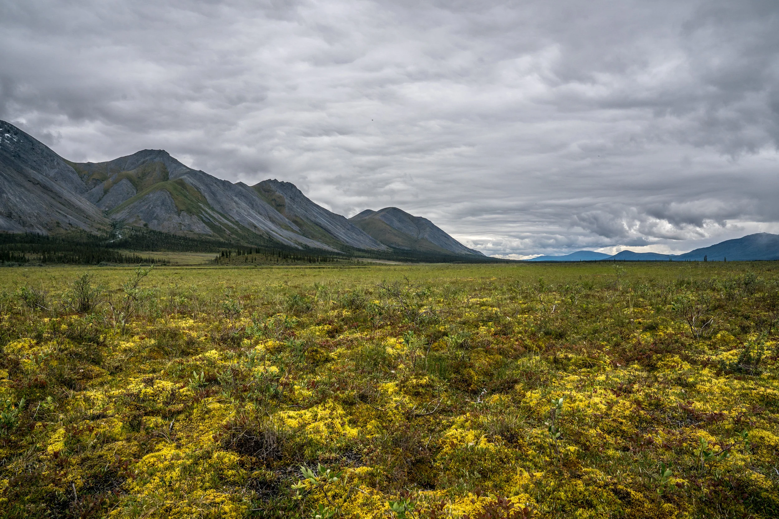 House Passes Bill To Prohibit Oil Exploration in the Arctic National Wildlife Refuge