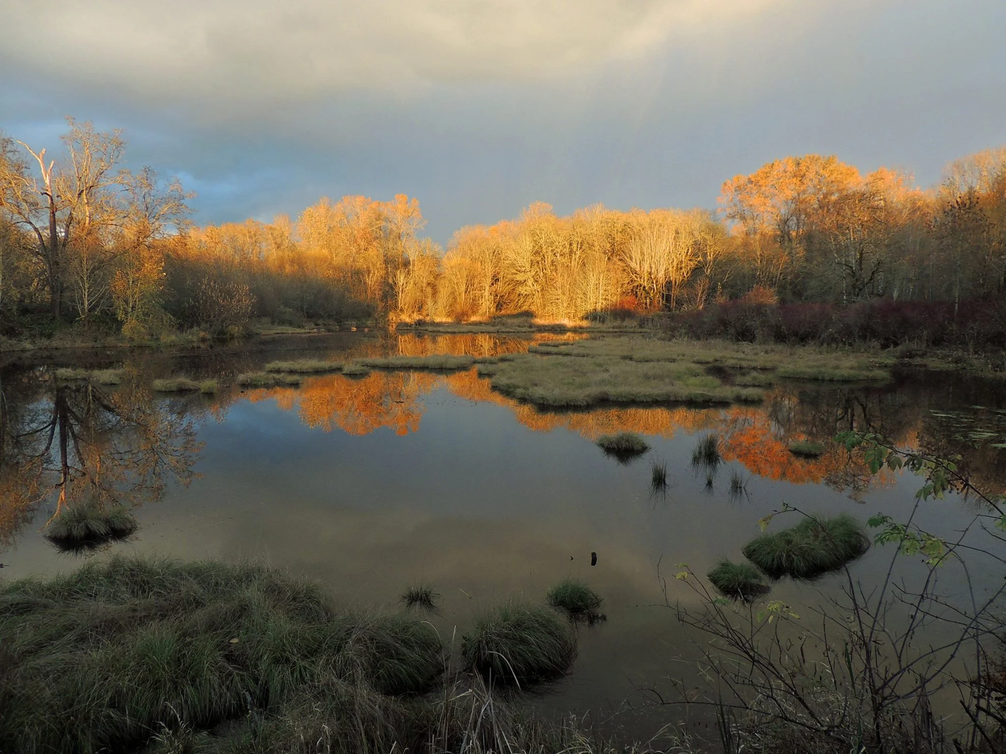 Fall Into Wildlife Refuges