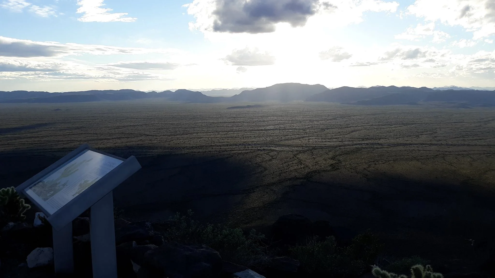 We Need Your Help To Protect Cabeza Prieta! 