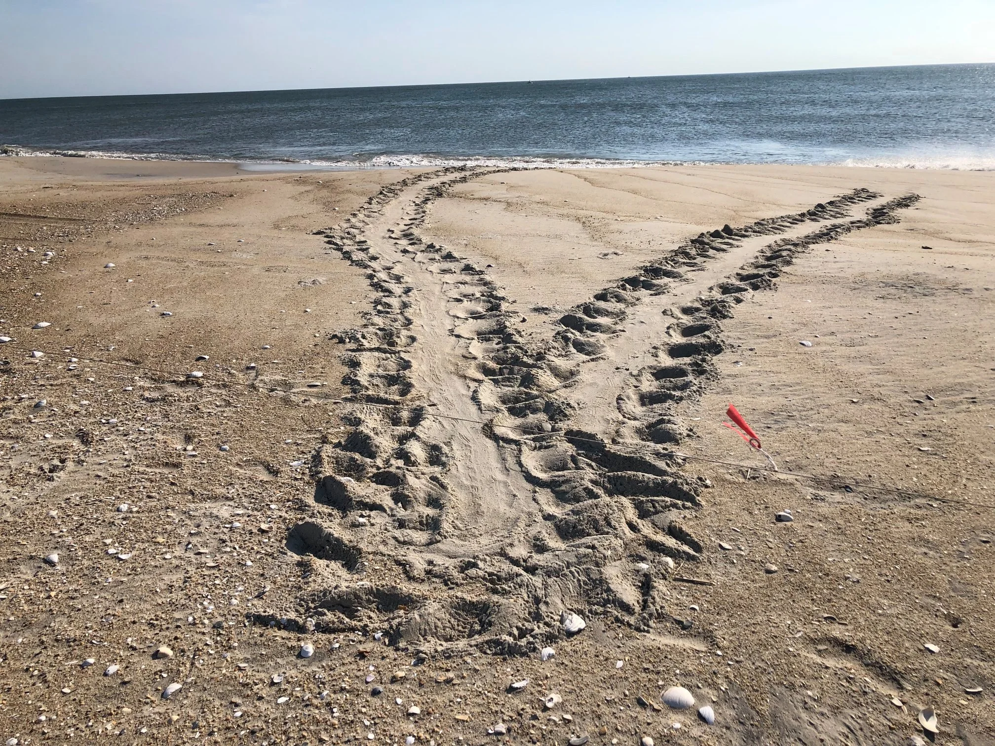 Was There Storm Damage From Hurricane Dorian?