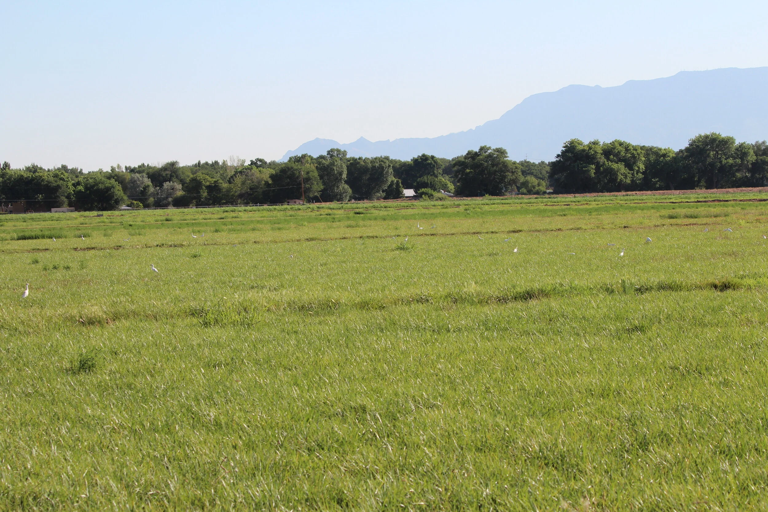 The National Wildlife Refuge Association Postpones The 2020 Refuge System Awards 