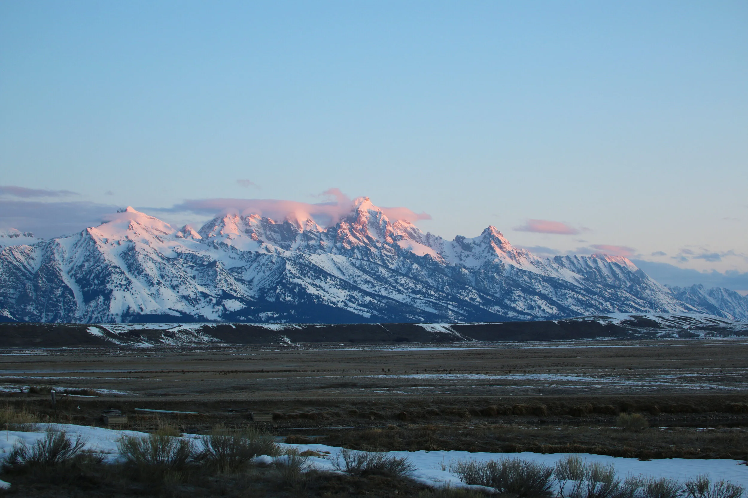 Helping Our Friends—&nbsp;Refuge Friends Fundraising Webinar