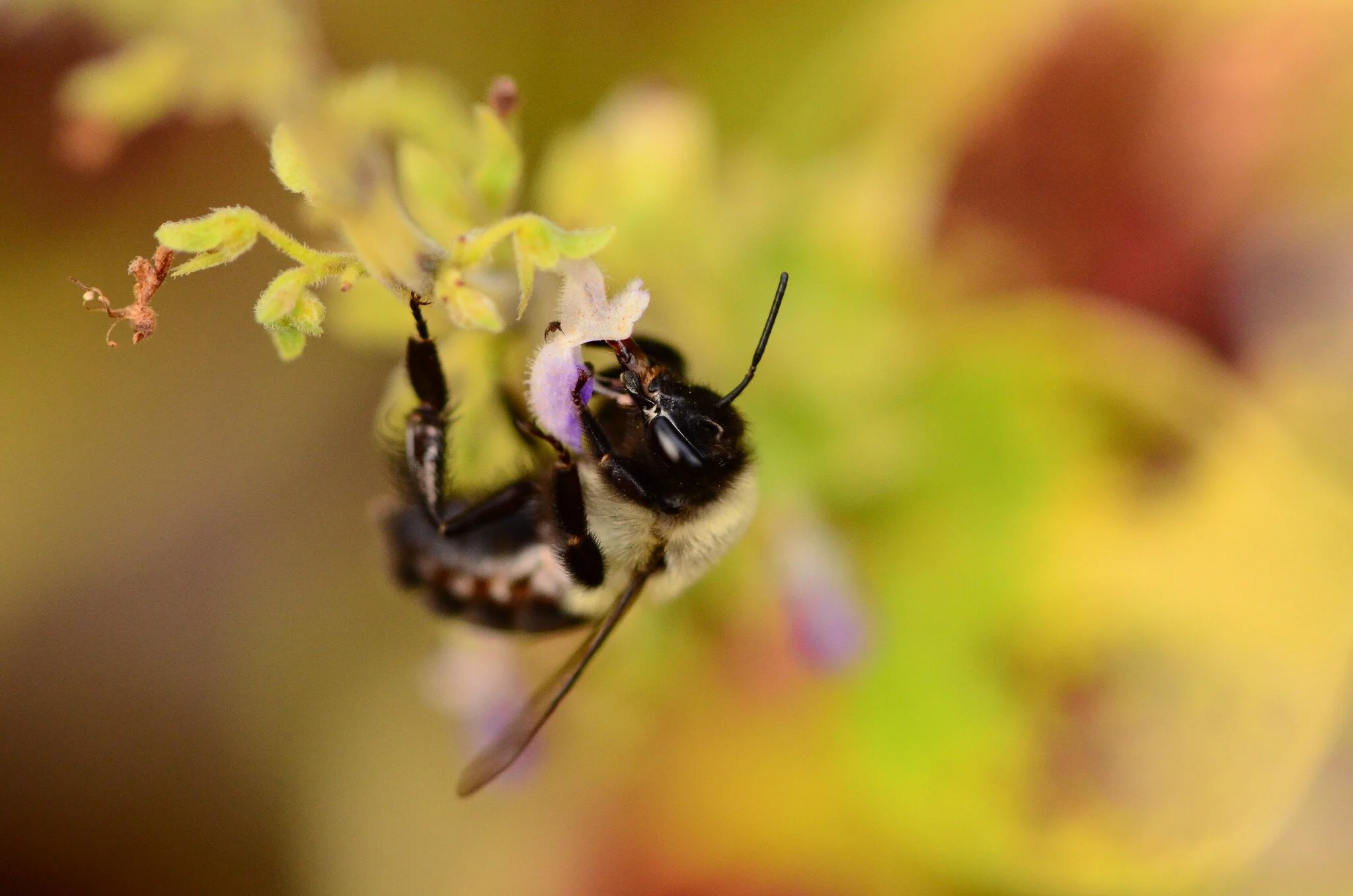 Become A National Wildlife Refuge Advocacy Champion!