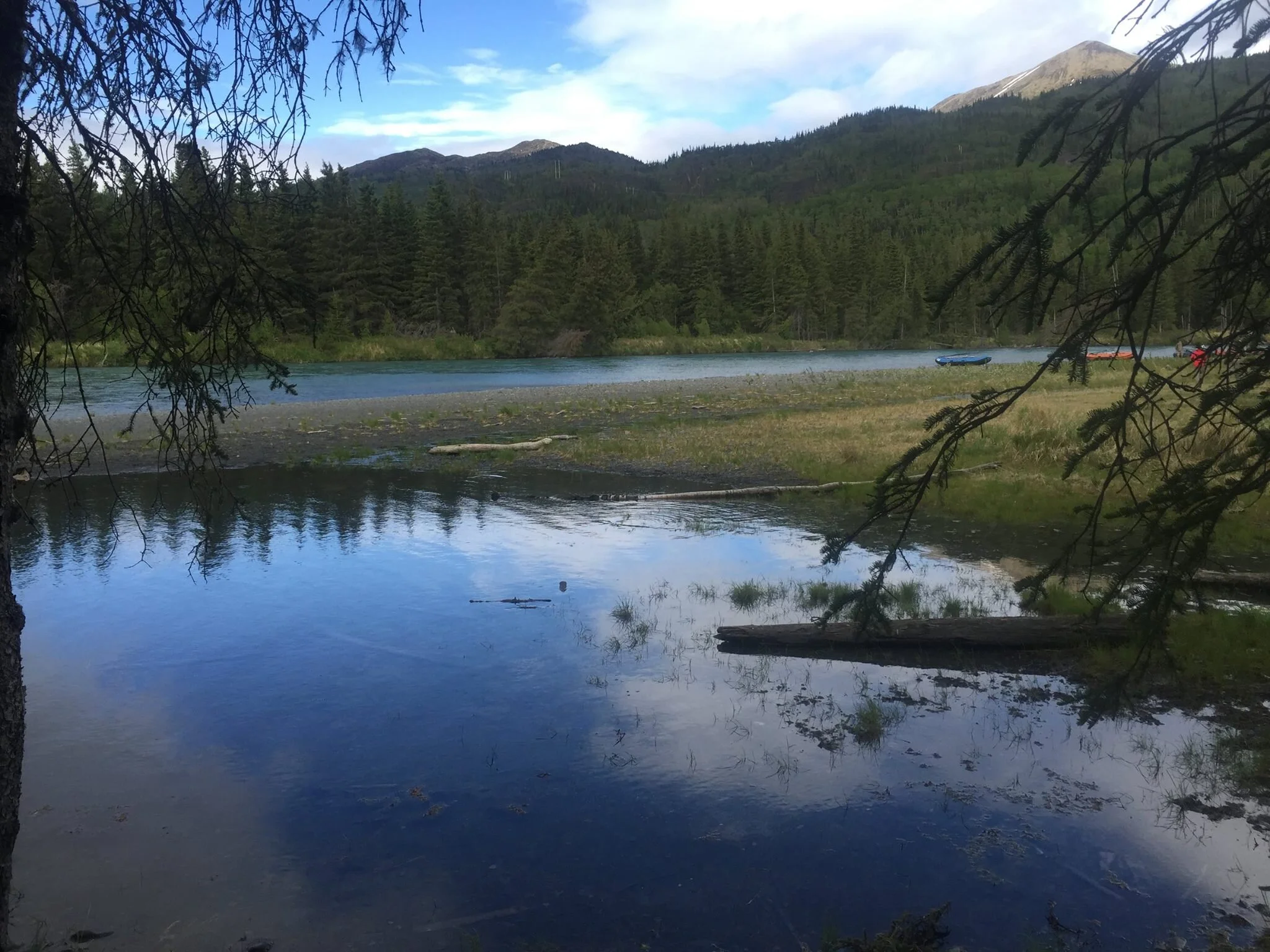 Kenai: A wildlife refuge in name only?