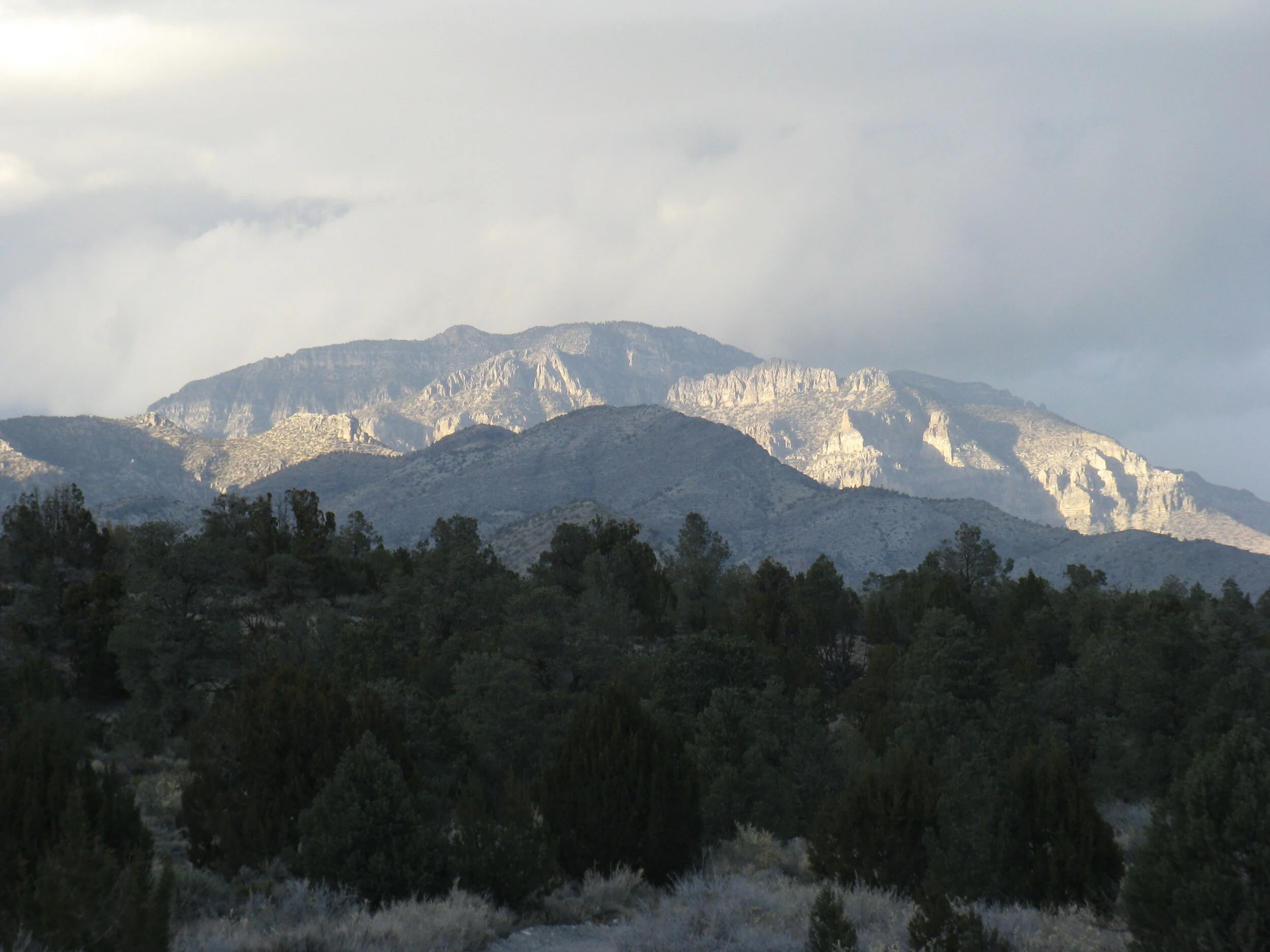 Congress Finalizes Bill to Protect the Desert National Wildlife Refuge