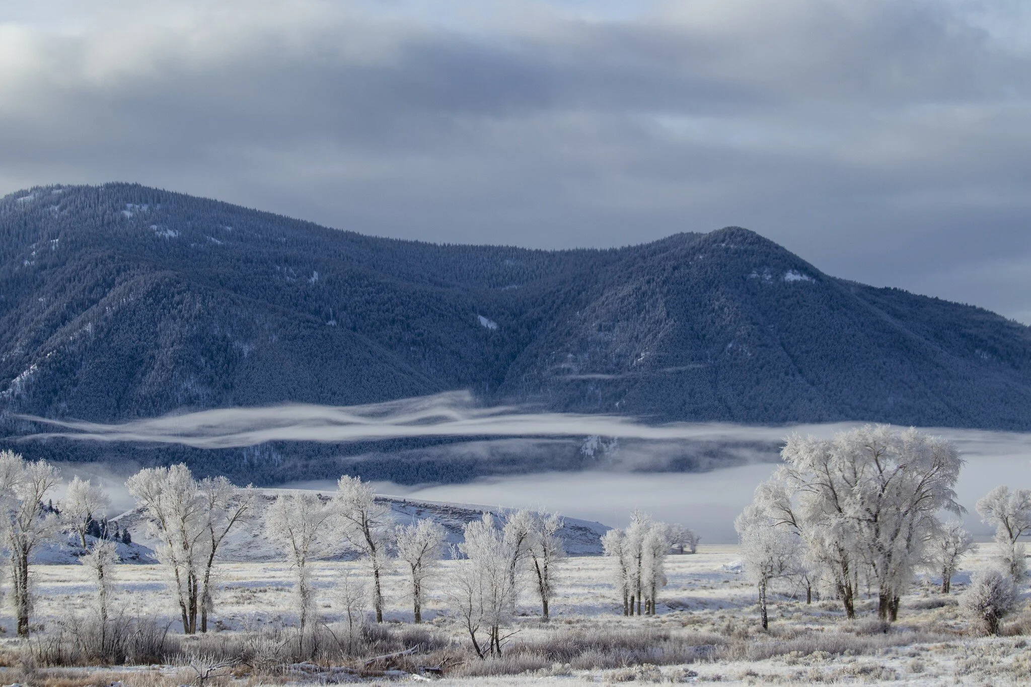 Government Shutdown Averted, Funding Secured for National Wildlife Refuges
