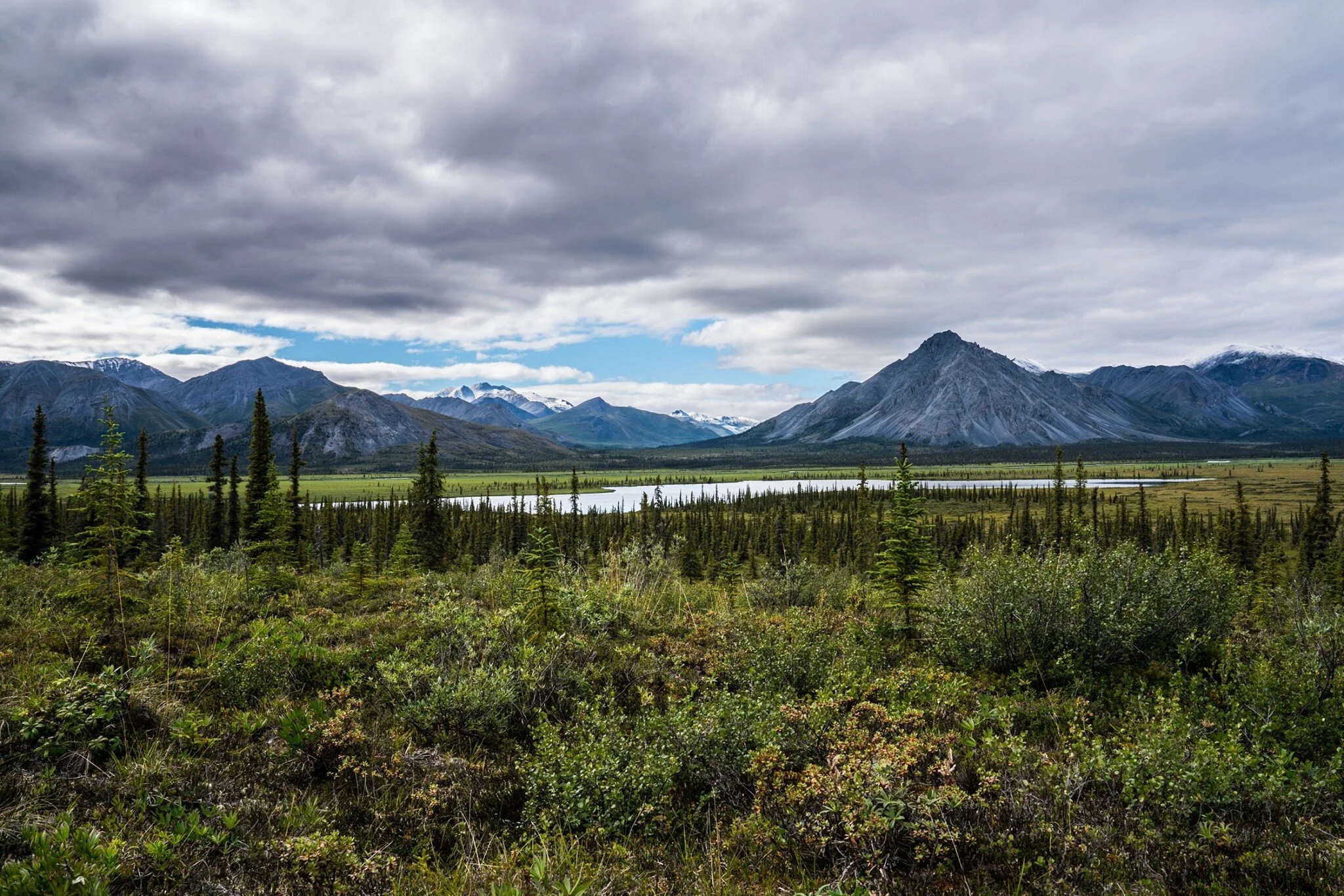 Absolute Failure: Arctic National Wildlife Refuge Sold for $26 an Acre