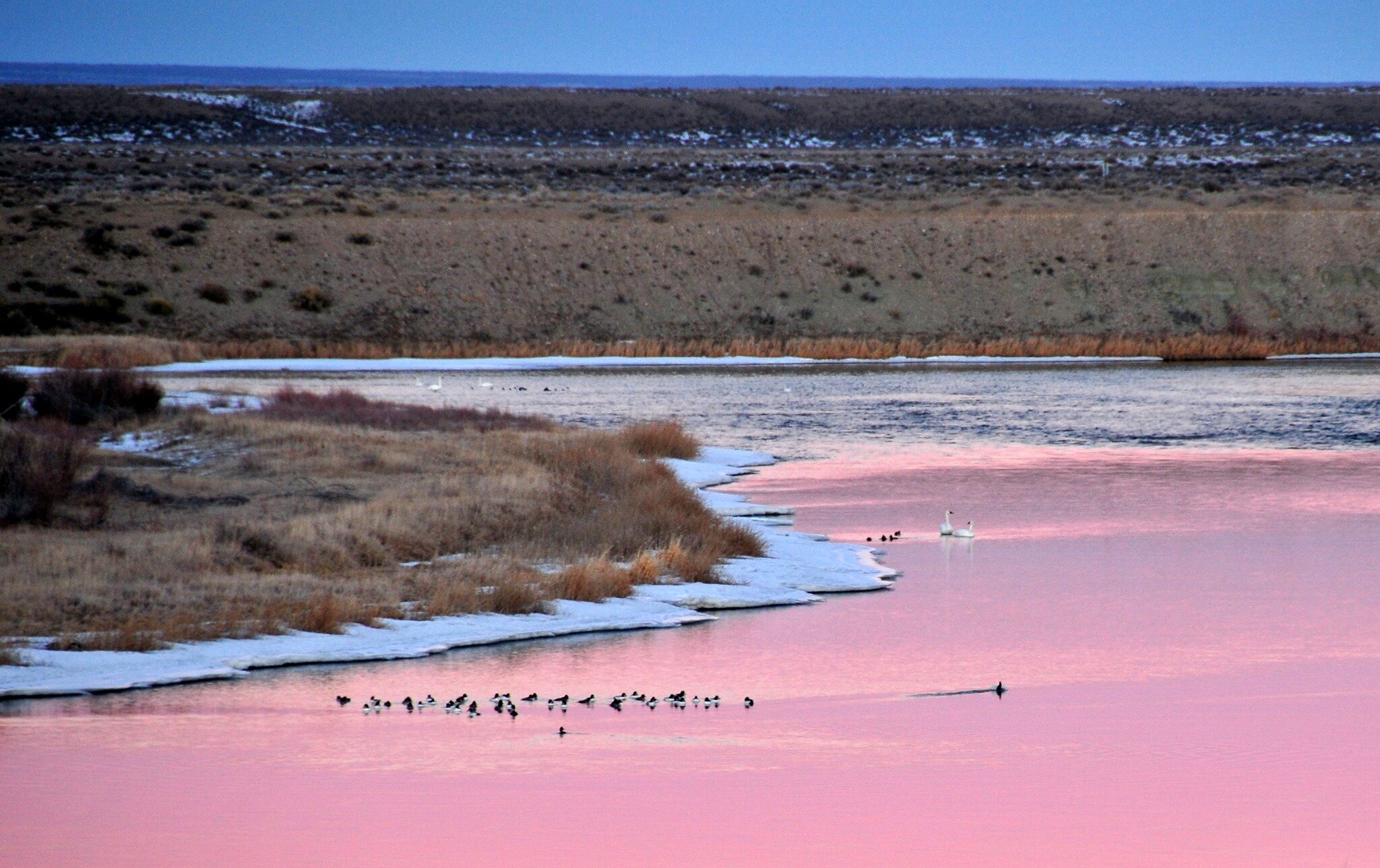President Biden Signs Executive Orders on Arctic, Border Refuges, Marine Monuments